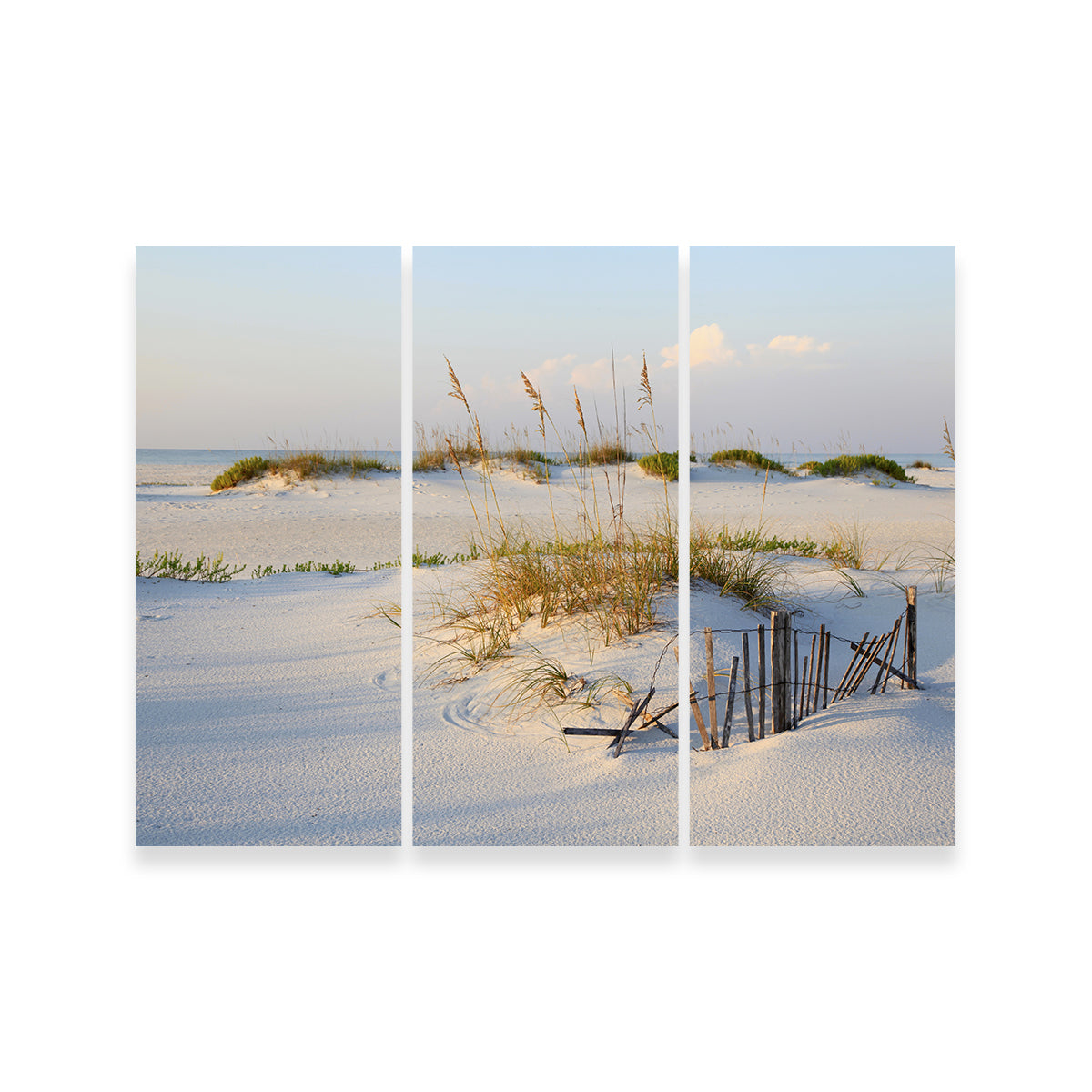 Sand Dunes and Sea Oats Wall Art