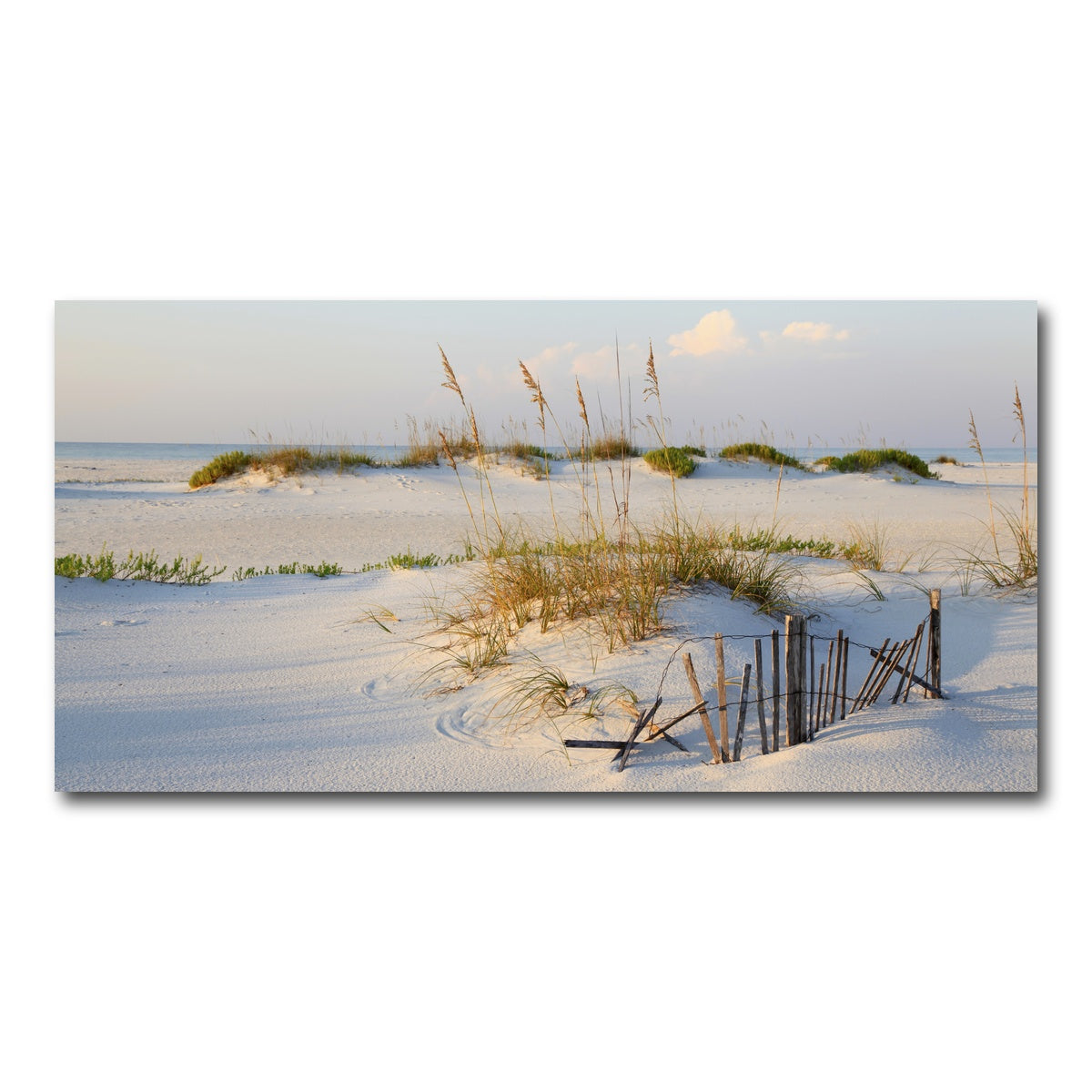 AUTO-MOCKUP WHITE | Sand Dunes and Sea Oats | 1 Piece | Gallery Wrap Canvas | group=2x1