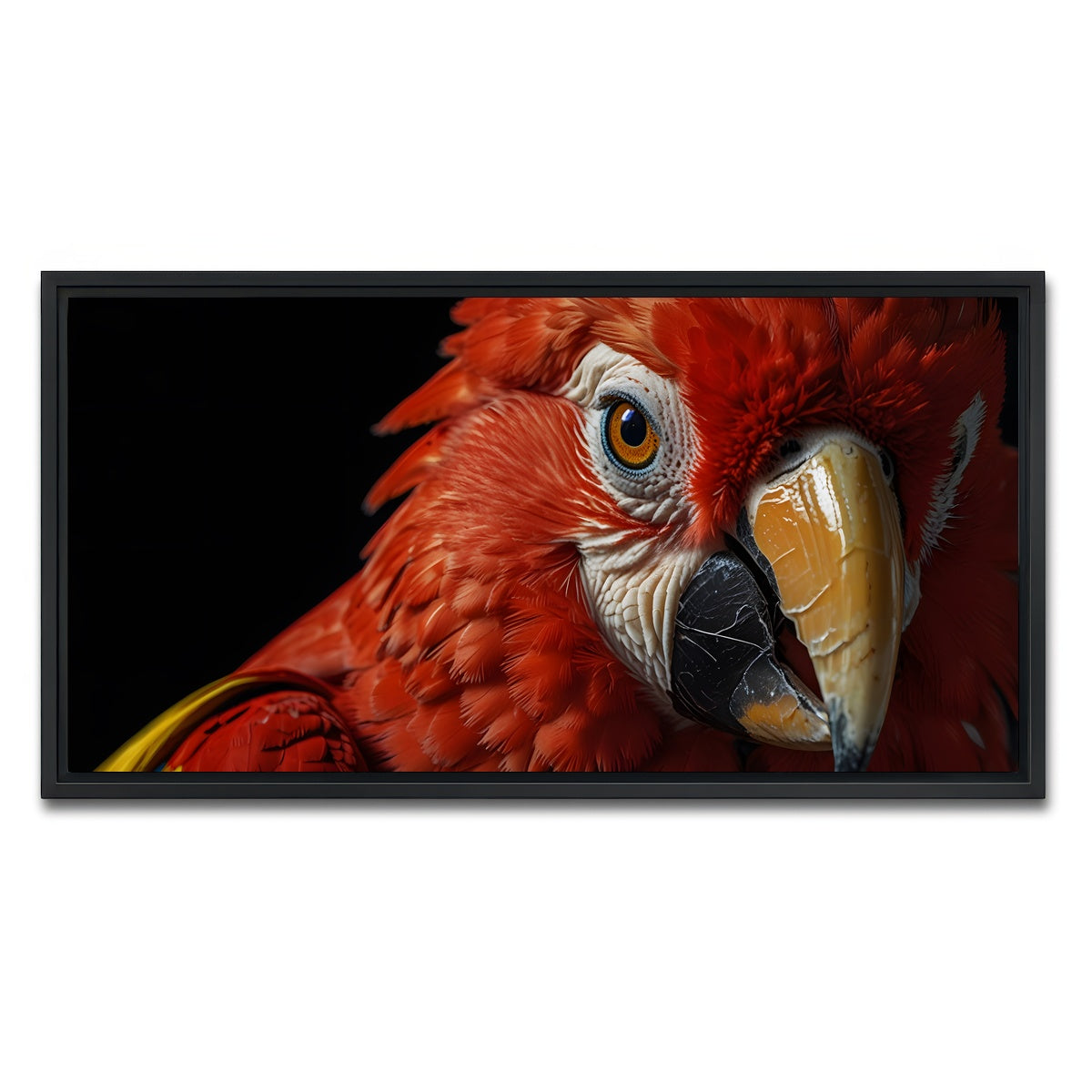 AUTO-MOCKUP WHITE | Scarlet Macaw close-up | 1 Piece | Black Framed Canvas | group=2x1