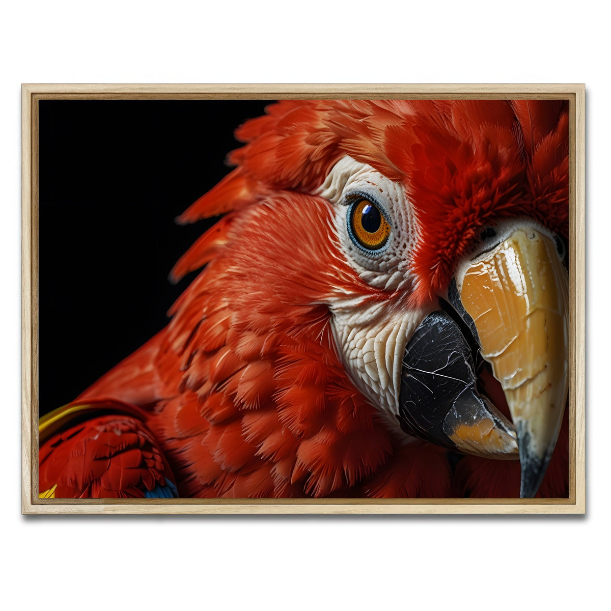 AUTO-MOCKUP WHITE | Scarlet Macaw close-up | 1 Piece | Natural Framed Canvas | group=4x3