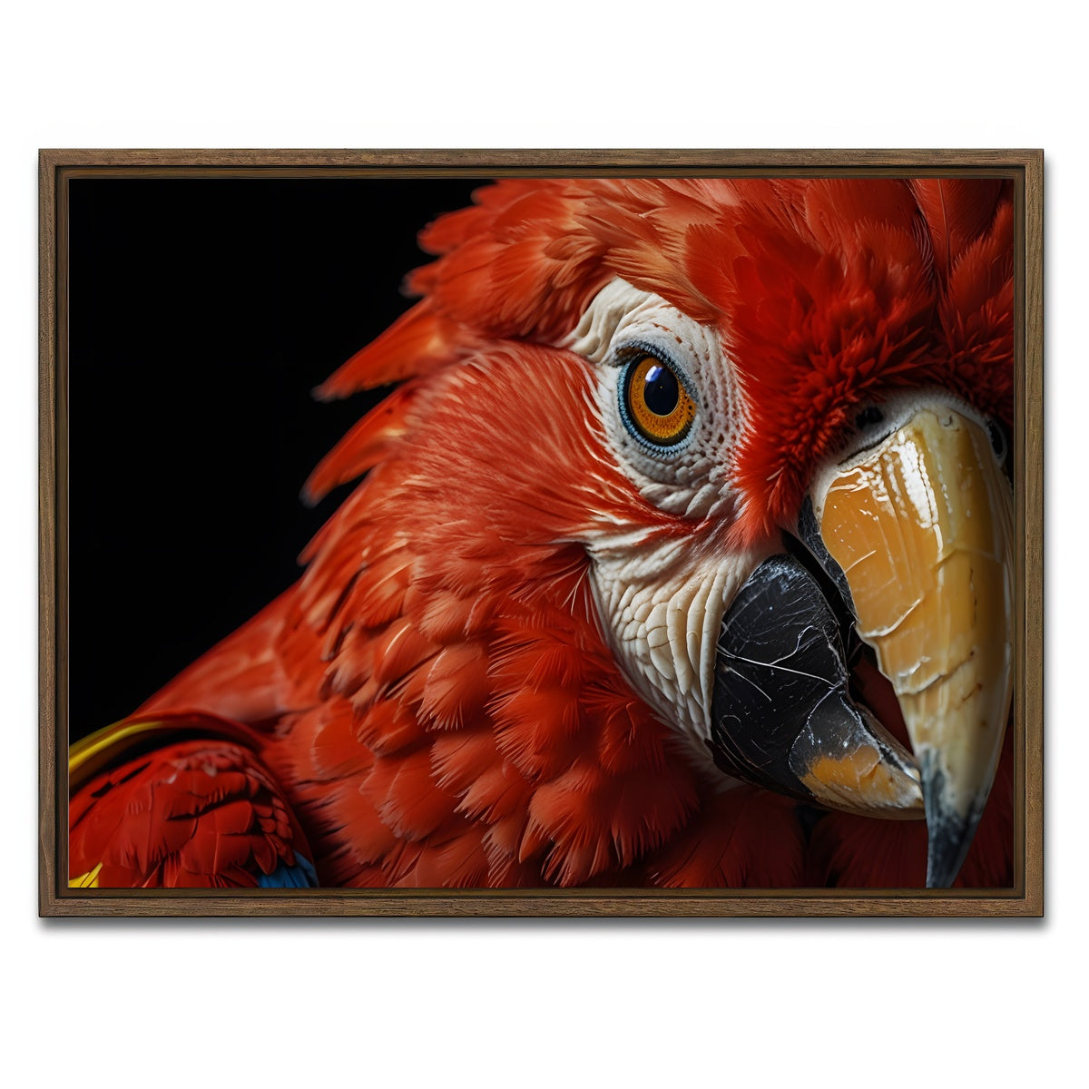 AUTO-MOCKUP WHITE | Scarlet Macaw close-up | 1 Piece | Walnut Framed Canvas | group=4x3