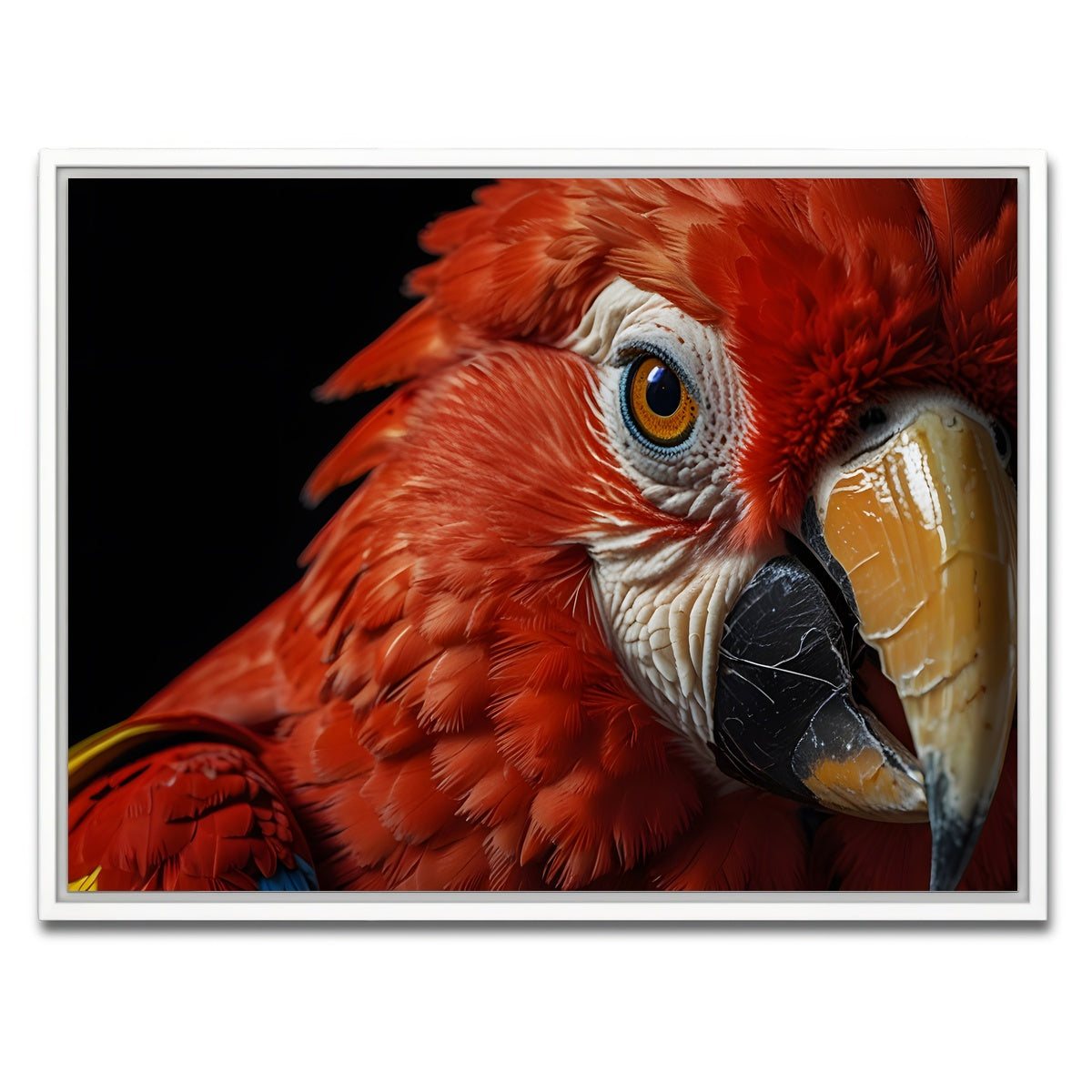 AUTO-MOCKUP WHITE | Scarlet Macaw close-up | 1 Piece | White Framed Canvas | group=4x3