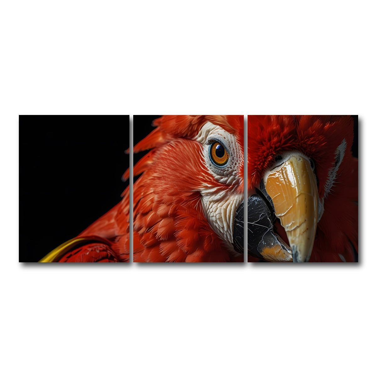 AUTO-MOCKUP WHITE | Scarlet Macaw close-up | 3 Piece | Gallery Wrap Canvas | group=18x24