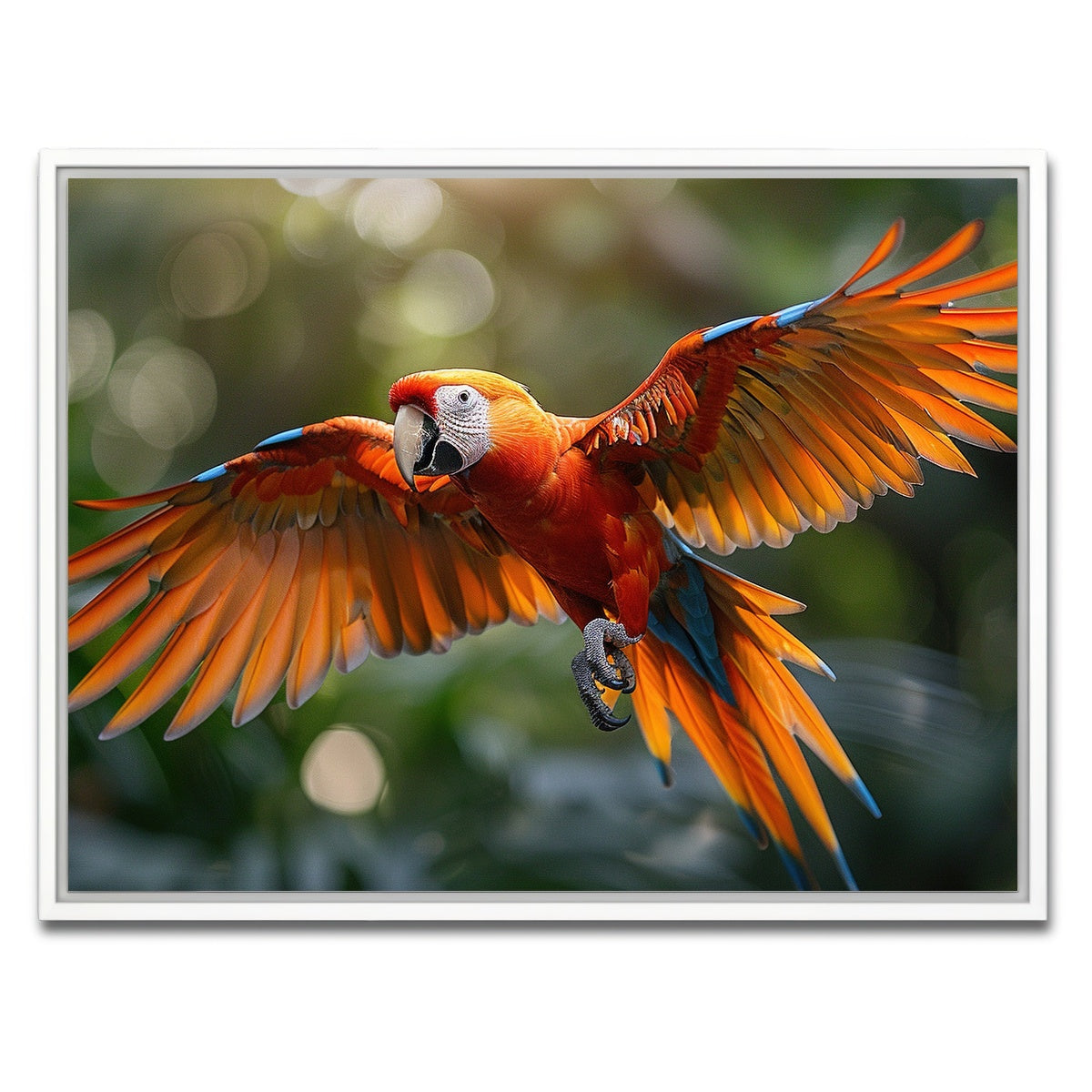 AUTO-MOCKUP WHITE | Scarlet Macaw in Flight | 1 Piece | White Framed Canvas | group=4x3