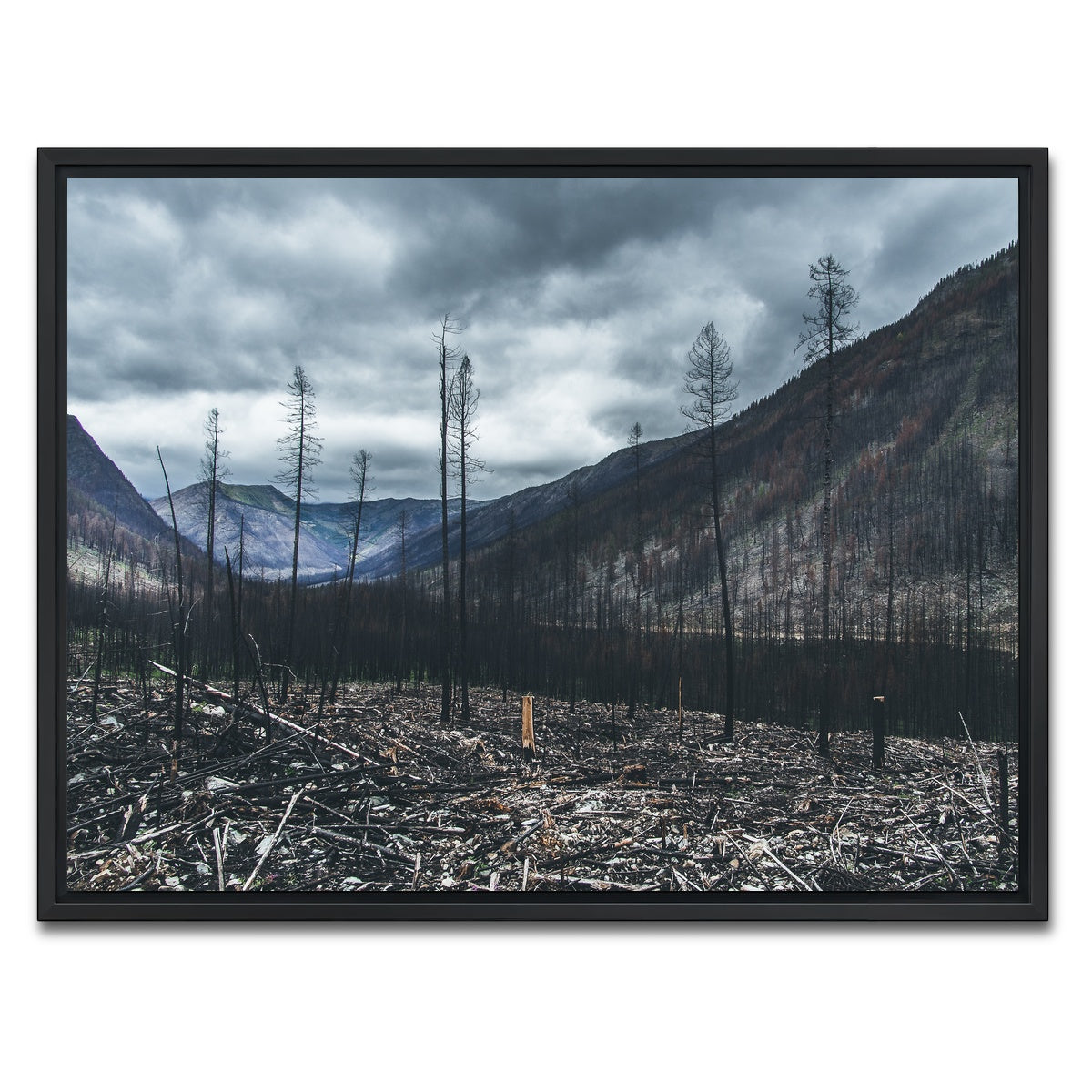 AUTO-MOCKUP WHITE | Scorched Trees | 1 Piece | Black Framed Canvas | group=4x3