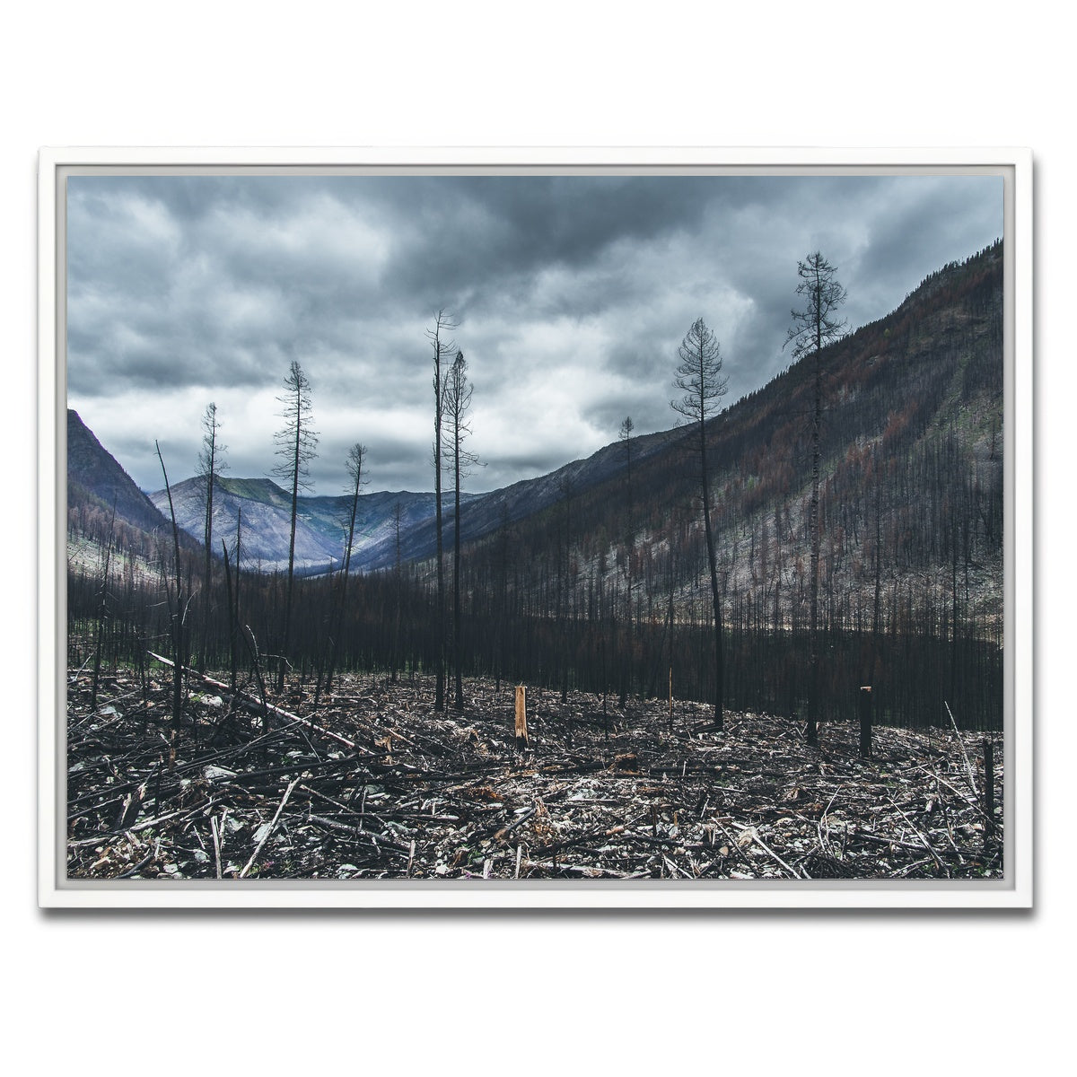 AUTO-MOCKUP WHITE | Scorched Trees | 1 Piece | White Framed Canvas | group=4x3