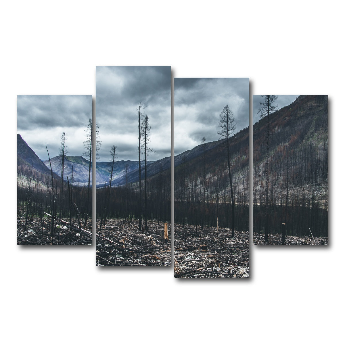 AUTO-MOCKUP WHITE | Scorched Trees | 4 Piece | Gallery Wrap Canvas | group=4_short