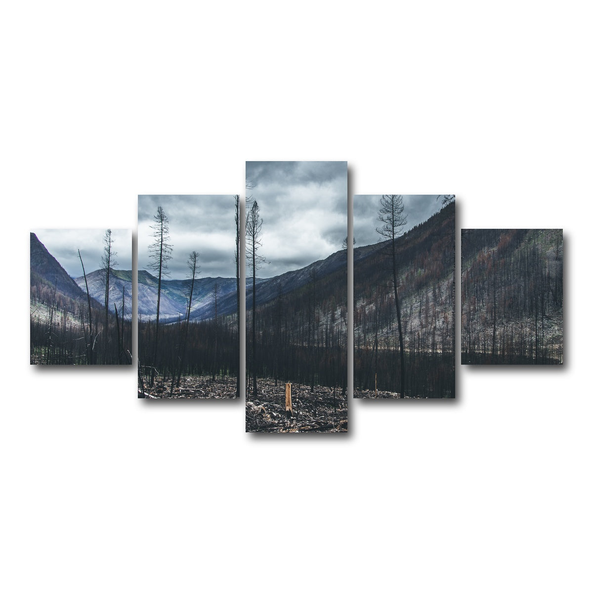 AUTO-MOCKUP WHITE | Scorched Trees | 5 Piece | Gallery Wrap Canvas | group=5_short
