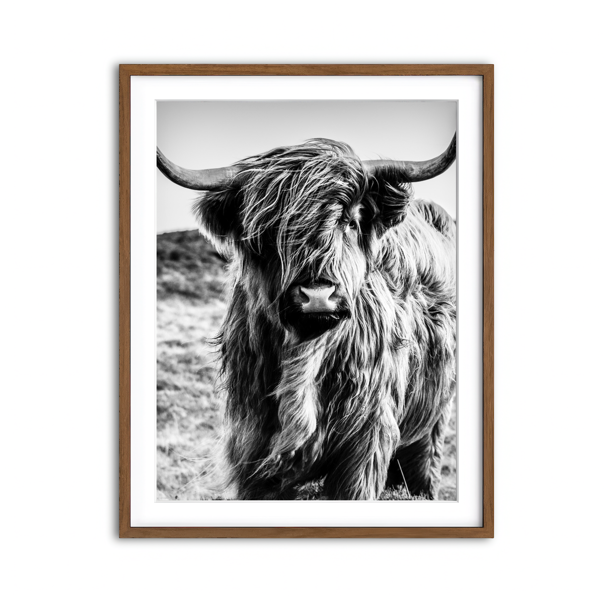 Framed Print 3x4 Walnut