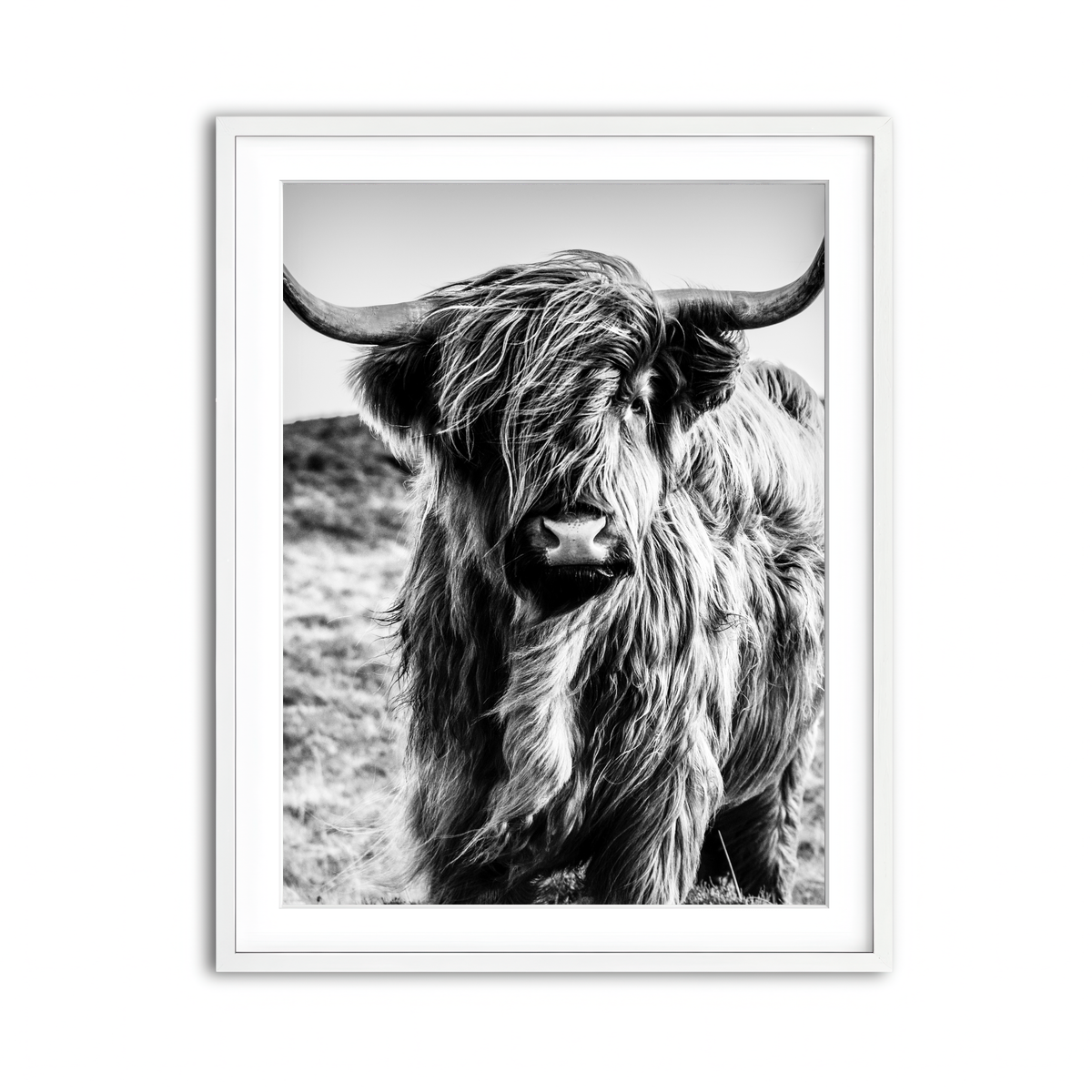 Framed Print 3x4 White