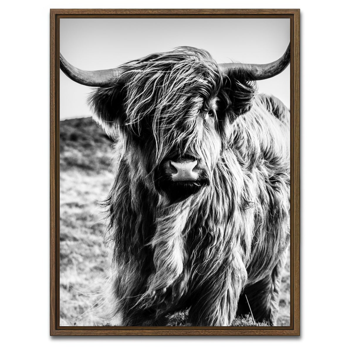 AUTO-MOCKUP WHITE | Scottish highland cow | 1 Piece | Walnut Framed Canvas | group=3x4