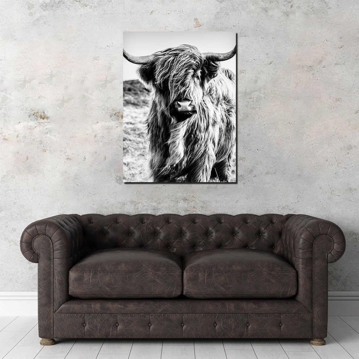 Scottish Highland Cow Wall Art