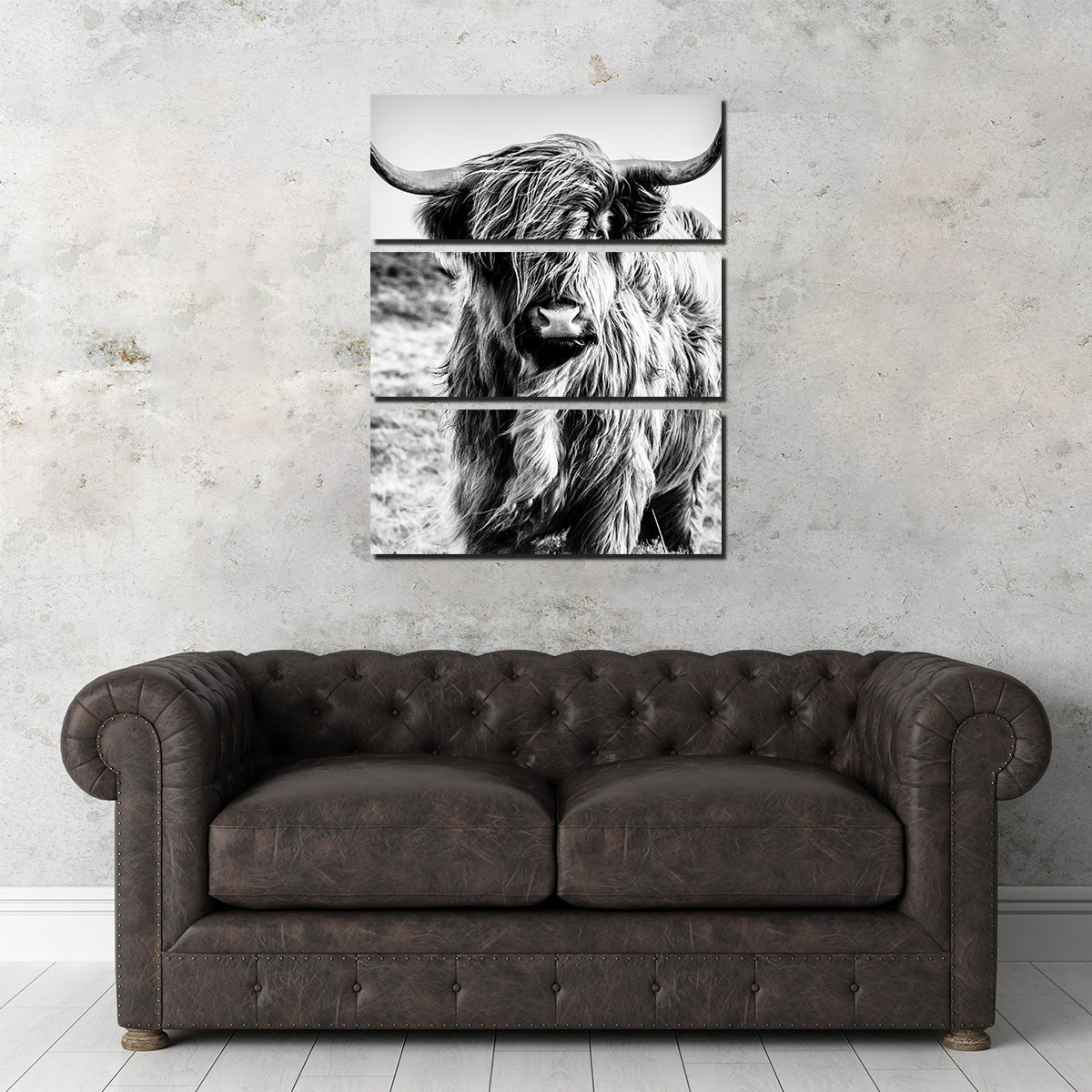 Scottish Highland Cow Wall Art