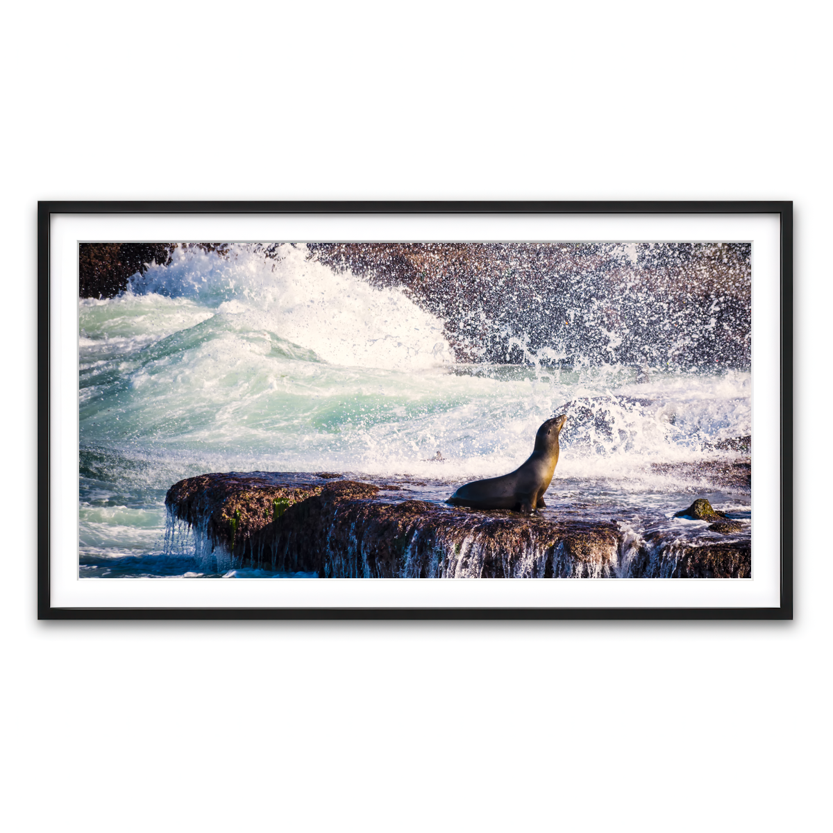 Framed Print 2x1 Black
