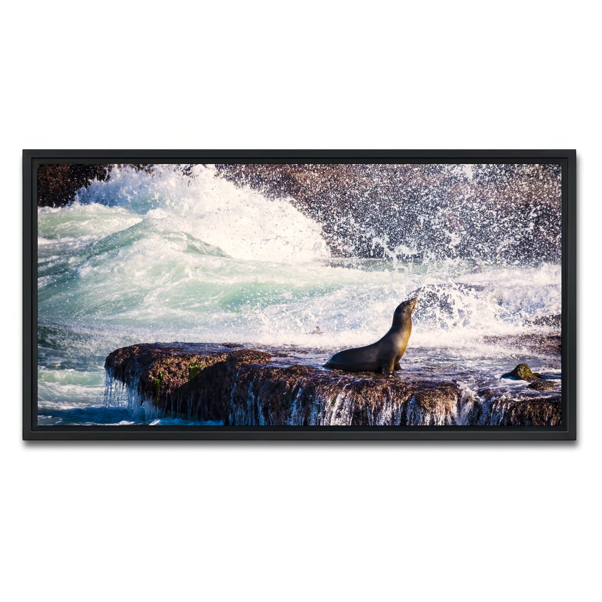 AUTO-MOCKUP WHITE | Sea Lion Surf La Jolla | 1 Piece | Black Framed Canvas | group=2x1