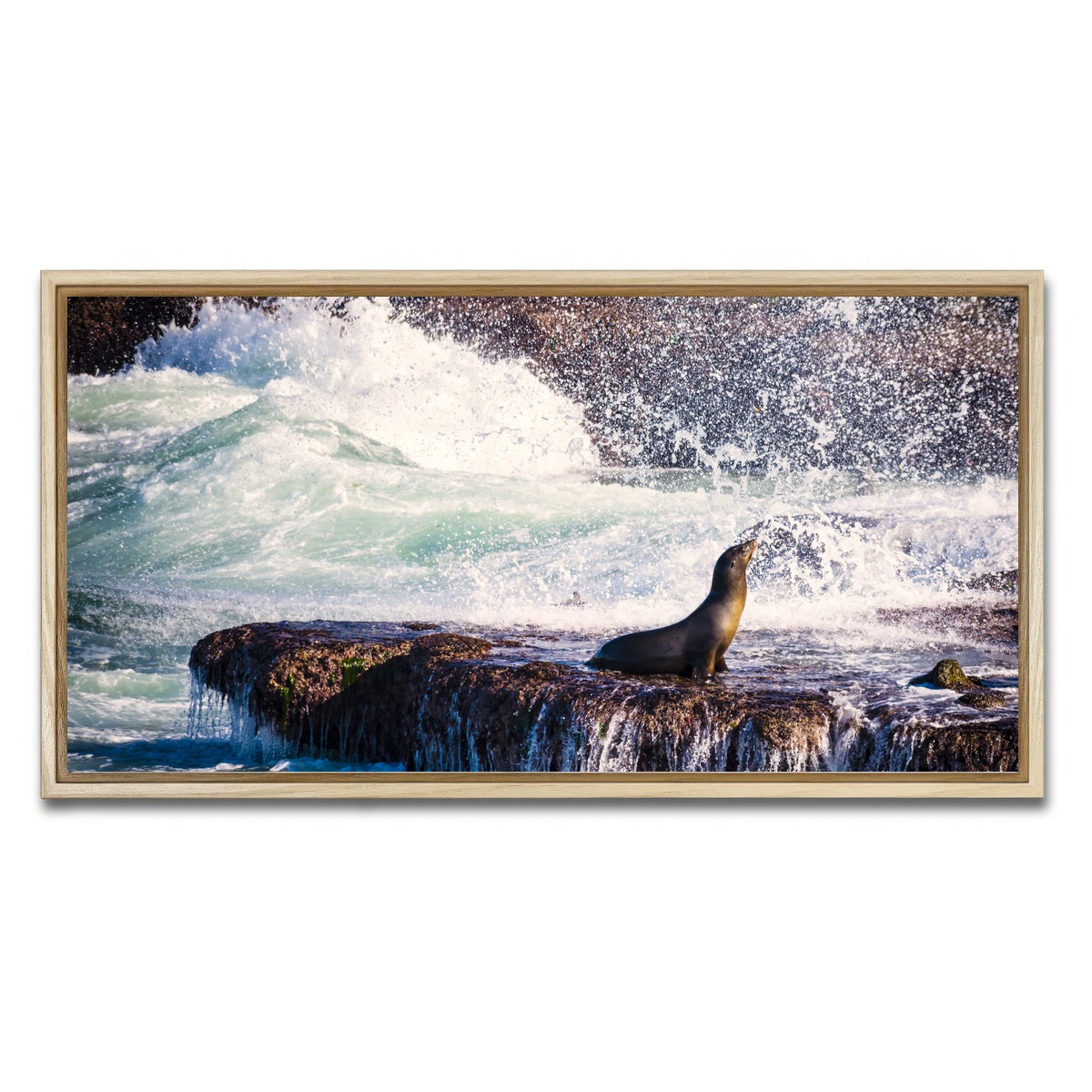 AUTO-MOCKUP WHITE | Sea Lion Surf La Jolla | 1 Piece | Natural Framed Canvas | group=2x1
