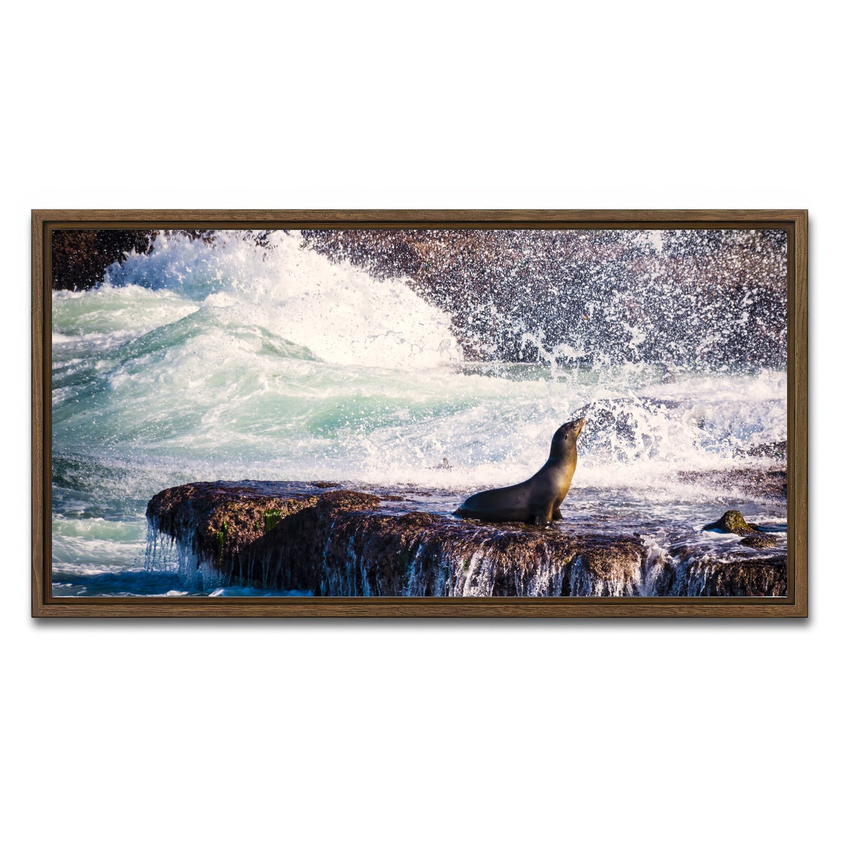 AUTO-MOCKUP WHITE | Sea Lion Surf La Jolla | 1 Piece | Walnut Framed Canvas | group=2x1