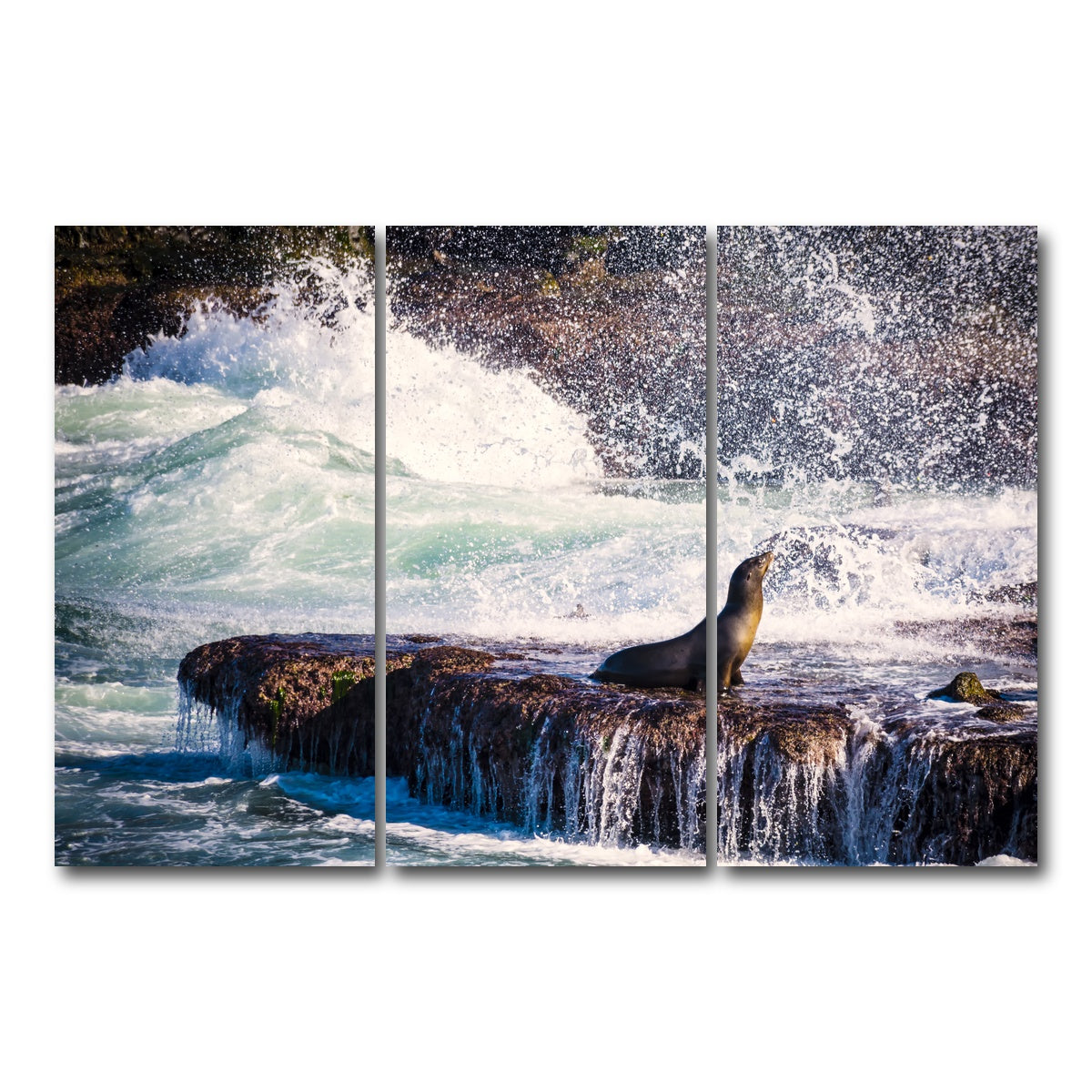 AUTO-MOCKUP WHITE | Sea Lion Surf La Jolla | 3 Piece | Gallery Wrap Canvas | group=12x24