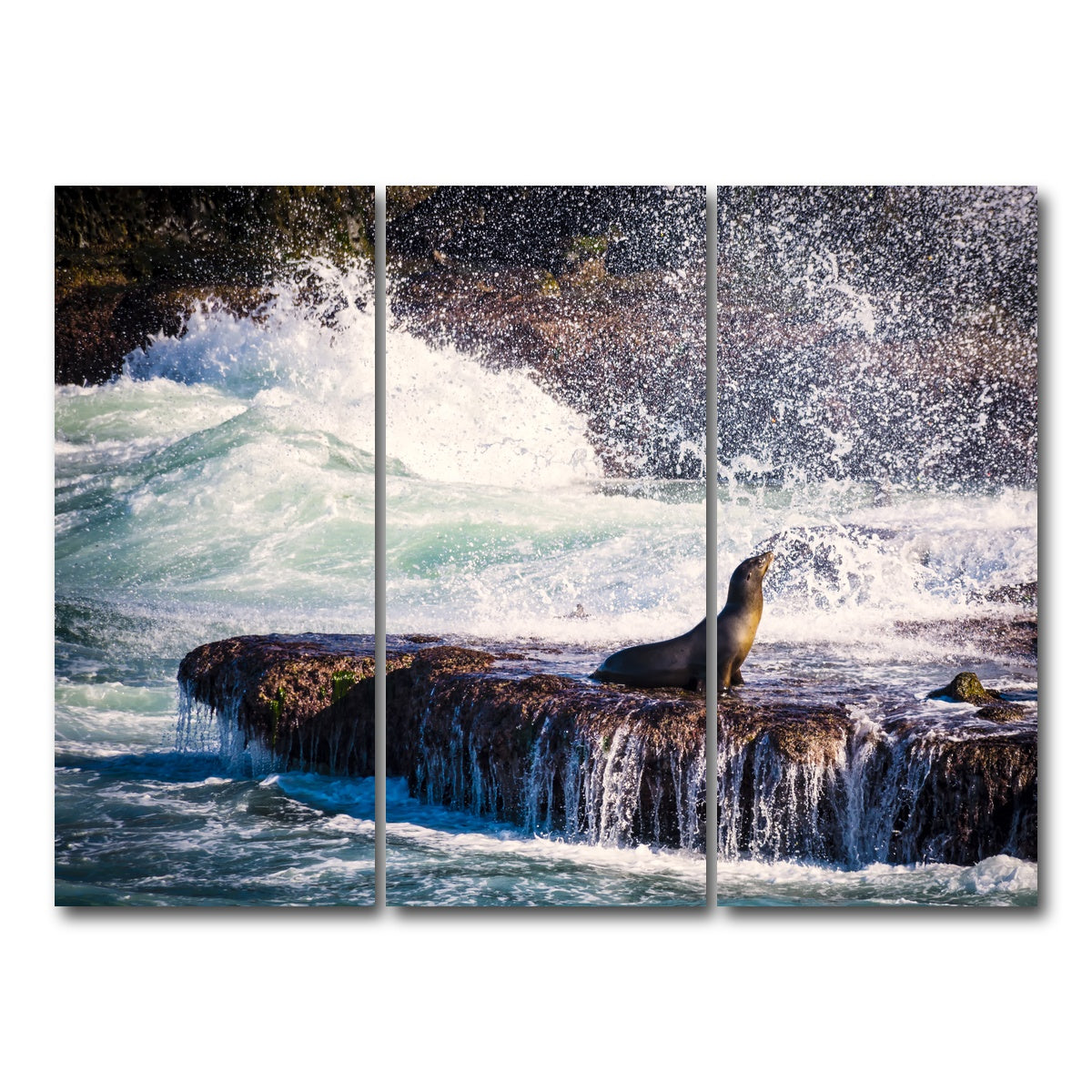AUTO-MOCKUP WHITE | Sea Lion Surf La Jolla | 3 Piece | Gallery Wrap Canvas | group=8x18