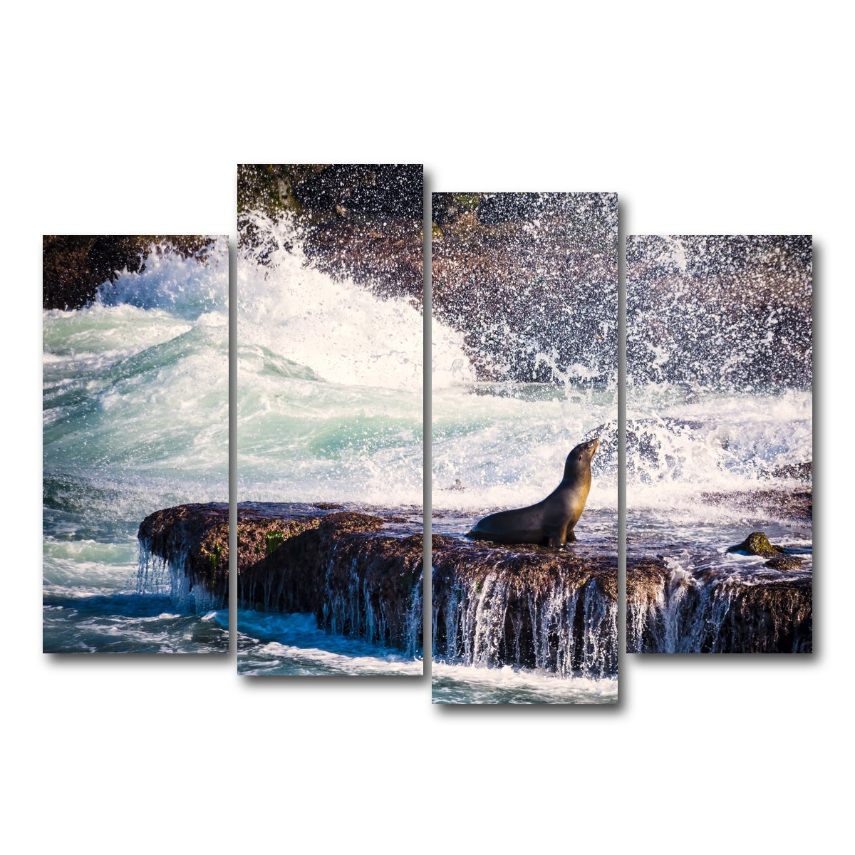 AUTO-MOCKUP WHITE | Sea Lion Surf La Jolla | 4 Piece | Gallery Wrap Canvas | group=4_normal
