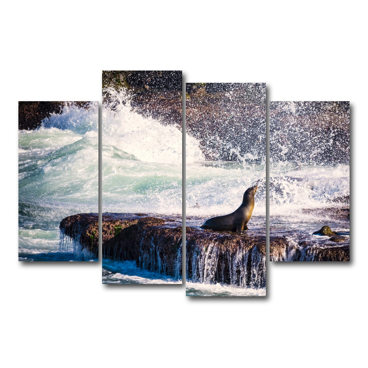 AUTO-MOCKUP WHITE | Sea Lion Surf La Jolla | 4 Piece | Gallery Wrap Canvas | group=4_short
