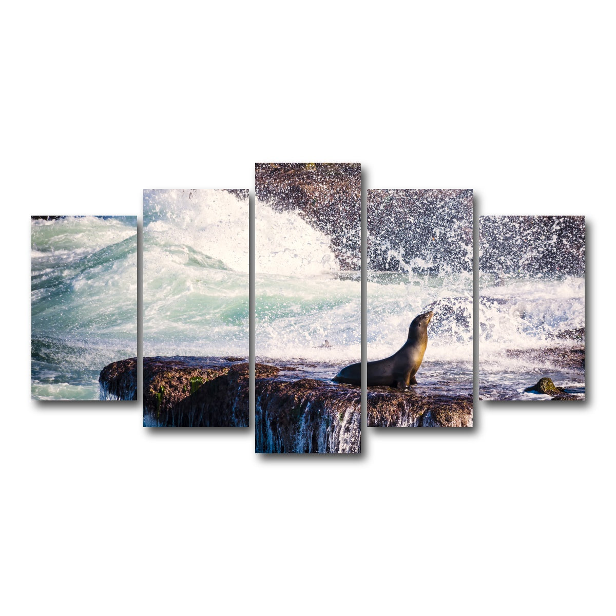 AUTO-MOCKUP WHITE | Sea Lion Surf La Jolla | 5 Piece | Gallery Wrap Canvas | group=5_normal