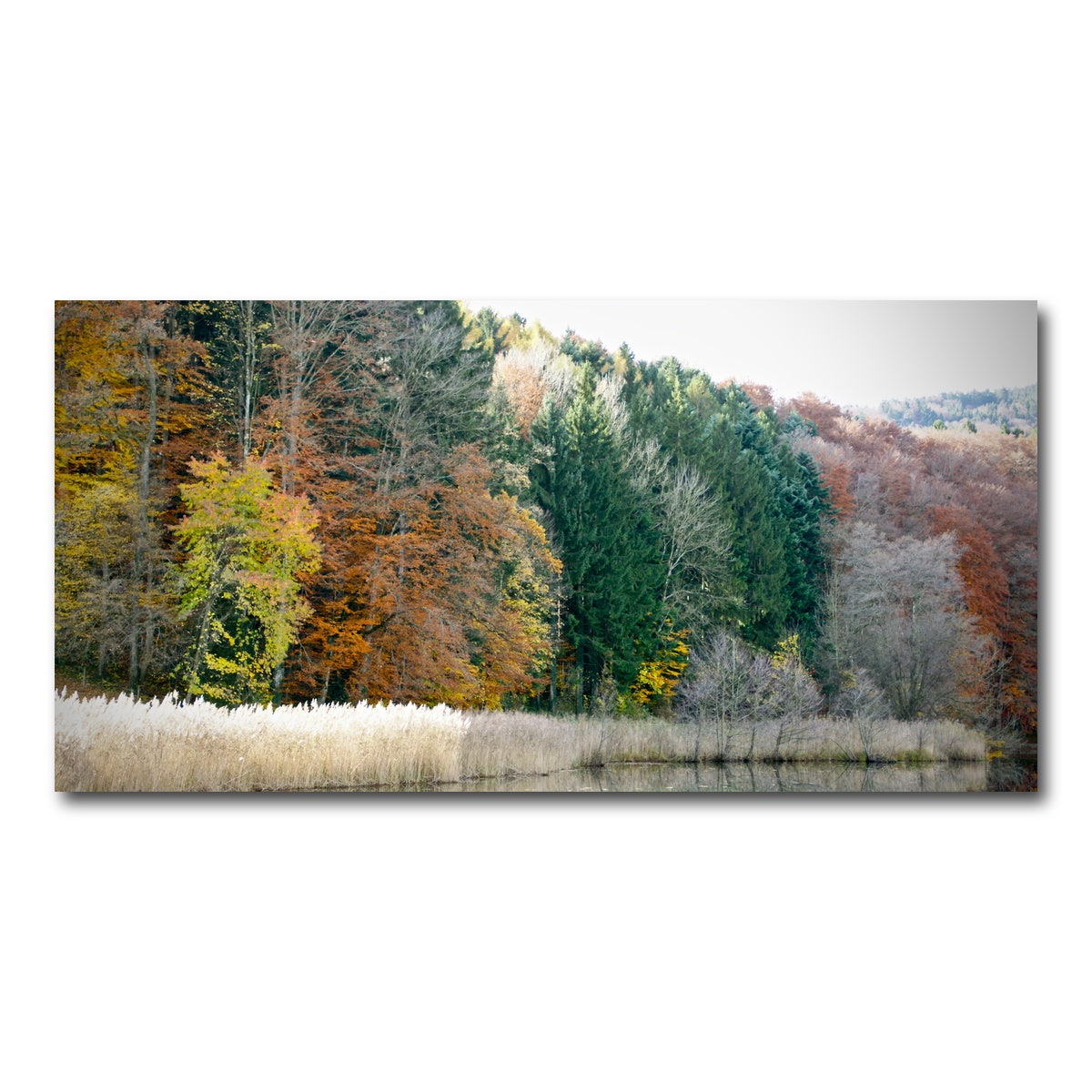 AUTO-MOCKUP WHITE | Seasons | 1 Piece | Gallery Wrap Canvas | group=2x1