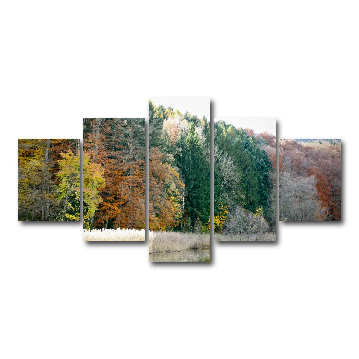 AUTO-MOCKUP WHITE | Seasons | 5 Piece | Gallery Wrap Canvas | group=5_short
