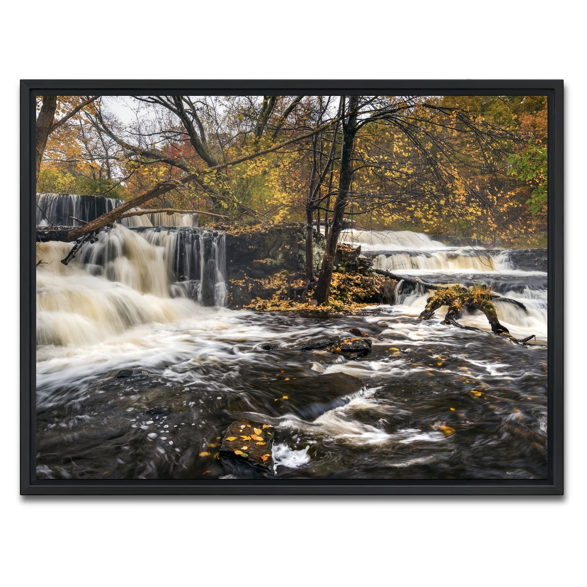 AUTO-MOCKUP WHITE | Seeing Double | 1 Piece | Black Framed Canvas | group=4x3