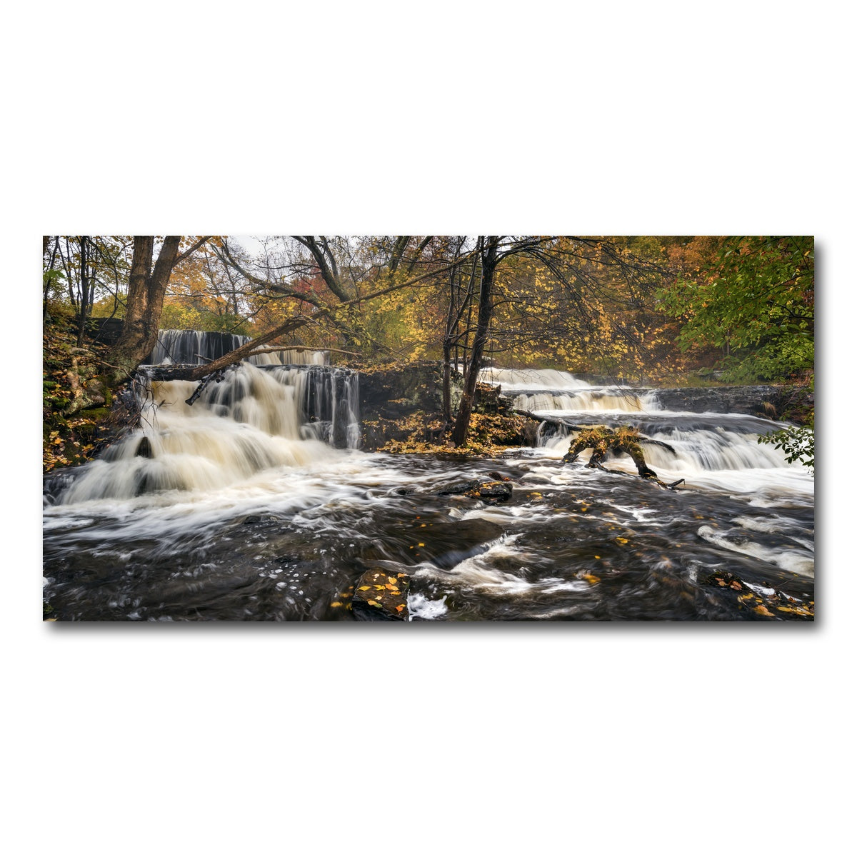 AUTO-MOCKUP WHITE | Seeing Double | 1 Piece | Gallery Wrap Canvas | group=2x1