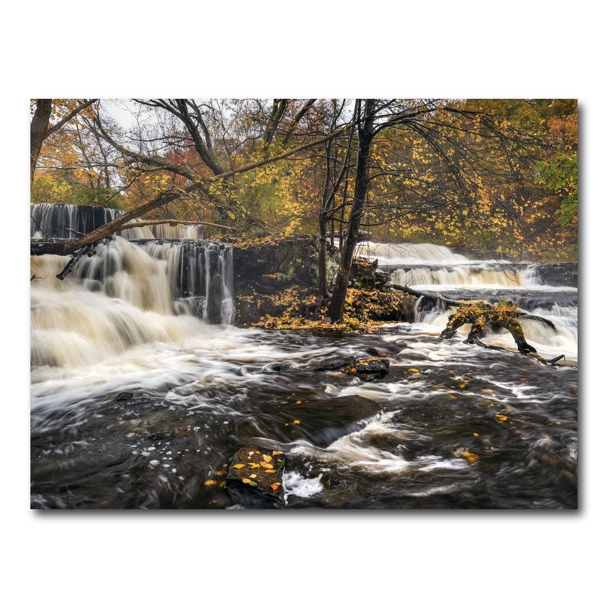 AUTO-MOCKUP WHITE | Seeing Double | 1 Piece | Gallery Wrap Canvas | group=4x3
