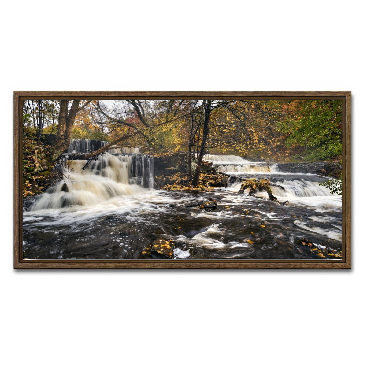 AUTO-MOCKUP WHITE | Seeing Double | 1 Piece | Walnut Framed Canvas | group=2x1