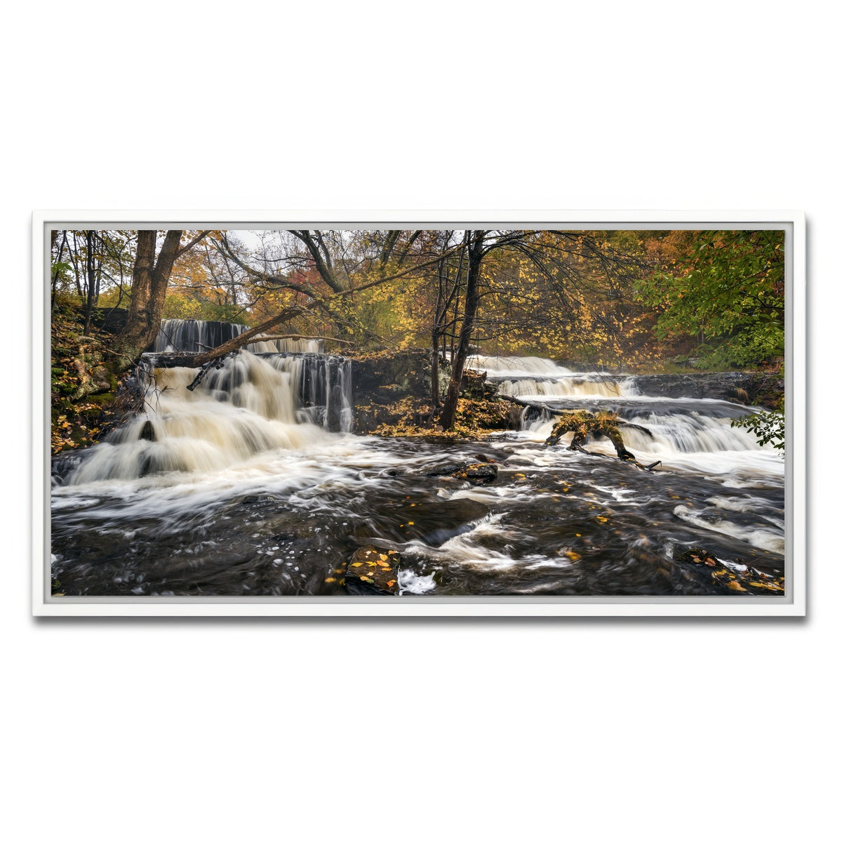 AUTO-MOCKUP WHITE | Seeing Double | 1 Piece | White Framed Canvas | group=2x1