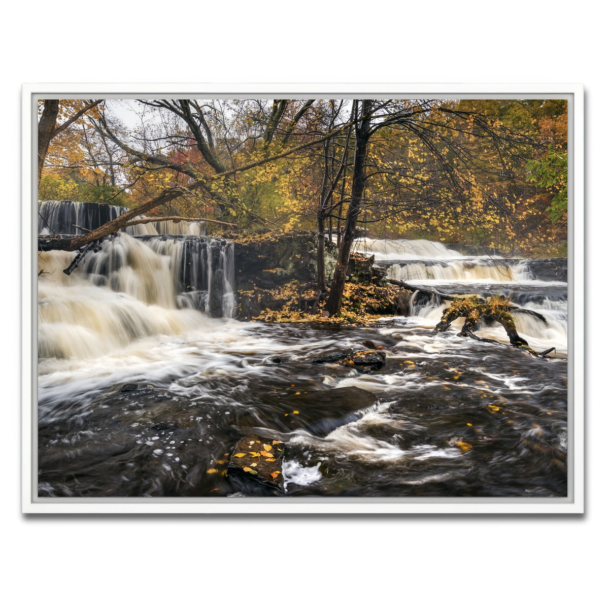 AUTO-MOCKUP WHITE | Seeing Double | 1 Piece | White Framed Canvas | group=4x3