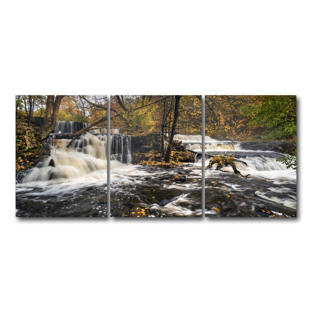 AUTO-MOCKUP WHITE | Seeing Double | 3 Piece | Gallery Wrap Canvas | group=18x24