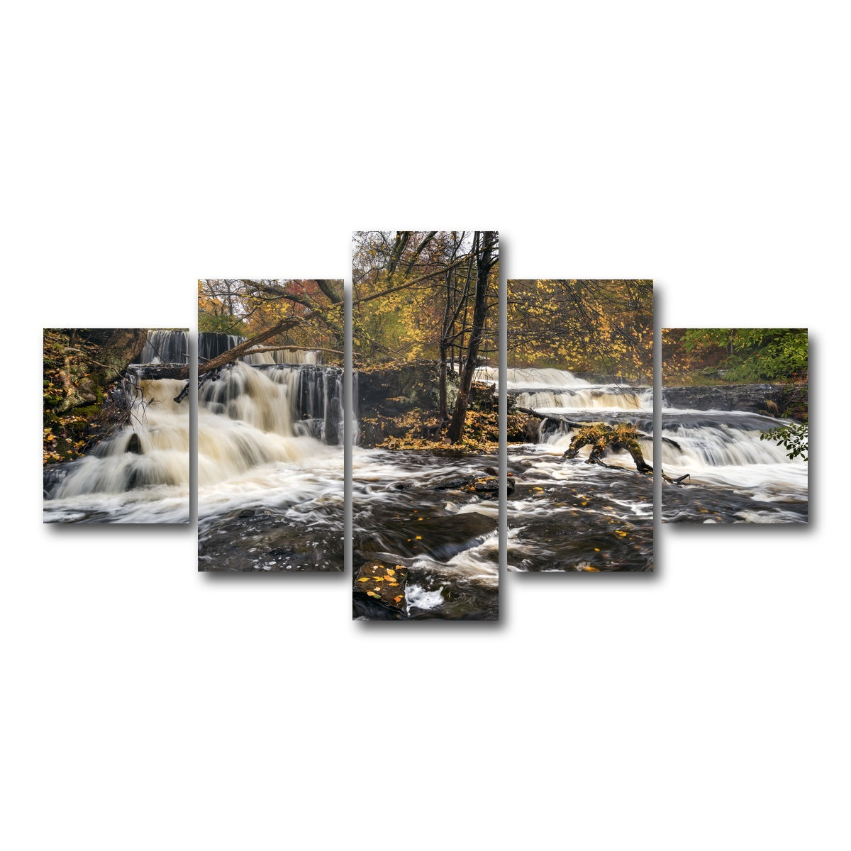 AUTO-MOCKUP WHITE | Seeing Double | 5 Piece | Gallery Wrap Canvas | group=5_short
