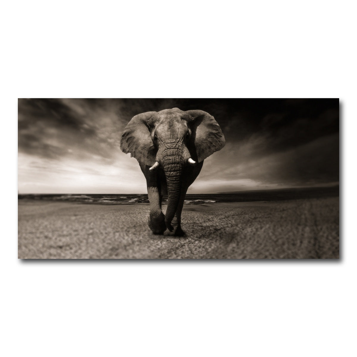 AUTO-MOCKUP WHITE | Sepia Elephant | 1 Piece | Gallery Wrap Canvas | group=2x1