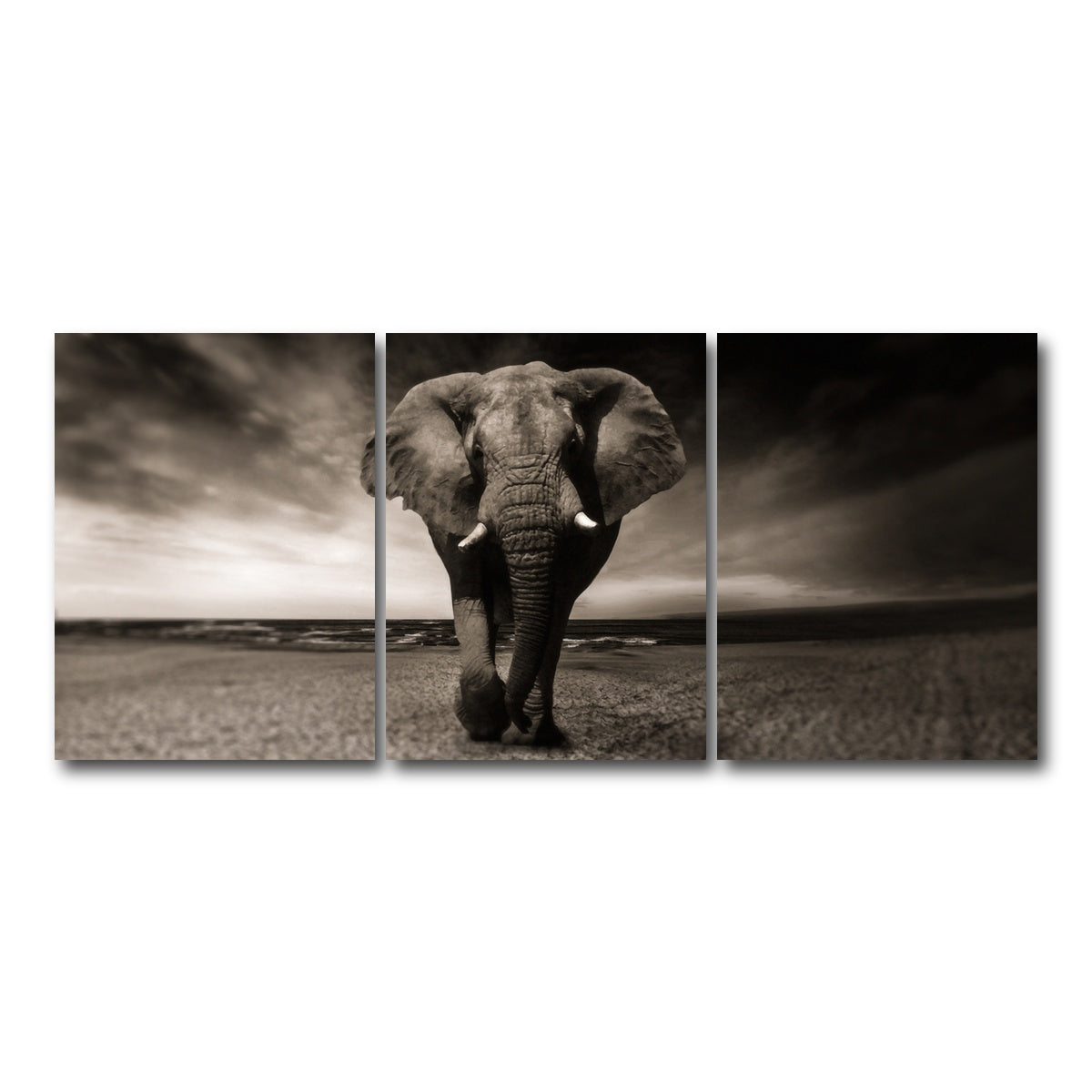 AUTO-MOCKUP WHITE | Sepia Elephant | 3 Piece | Gallery Wrap Canvas | group=18x24