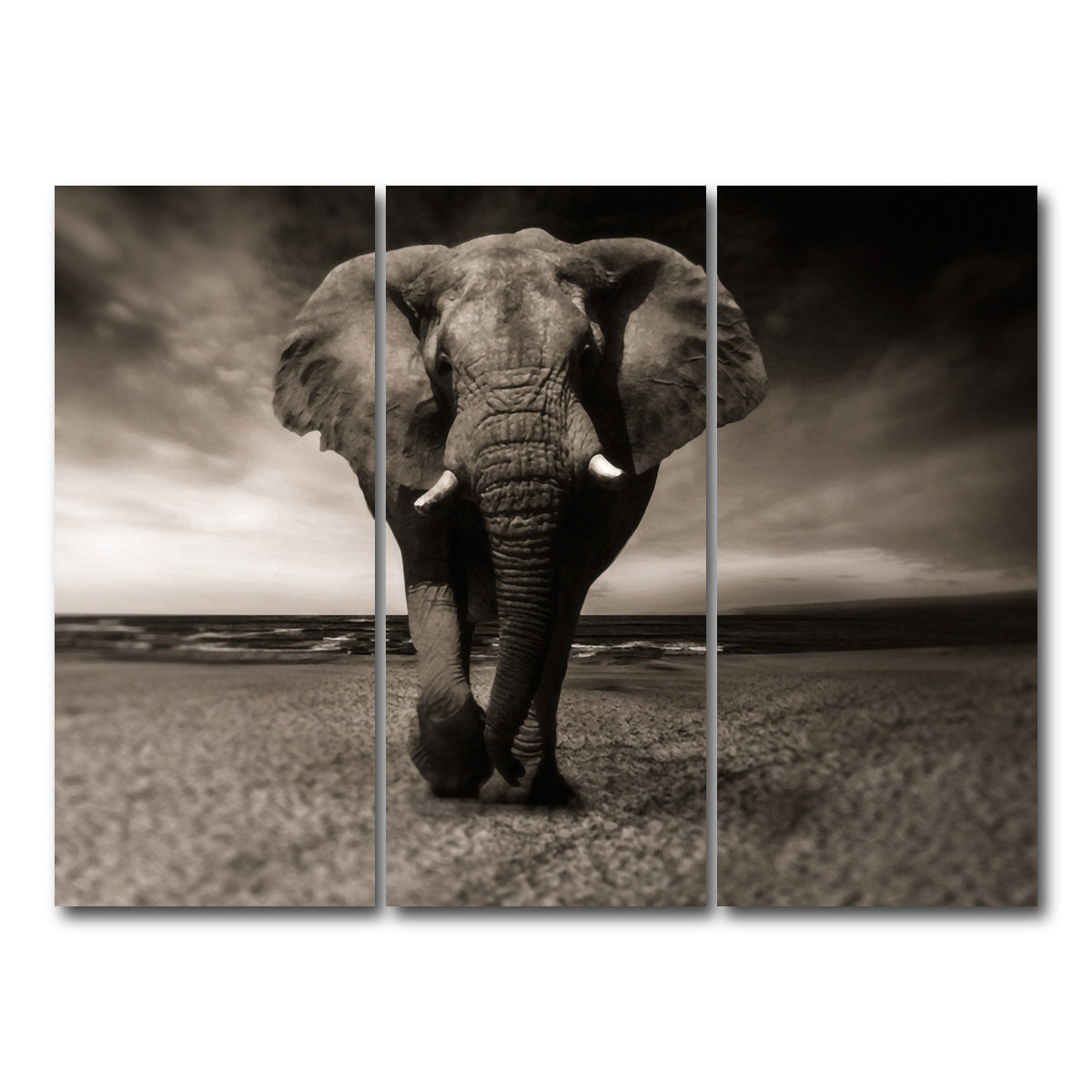 AUTO-MOCKUP WHITE | Sepia Elephant | 3 Piece | Gallery Wrap Canvas | group=8x18
