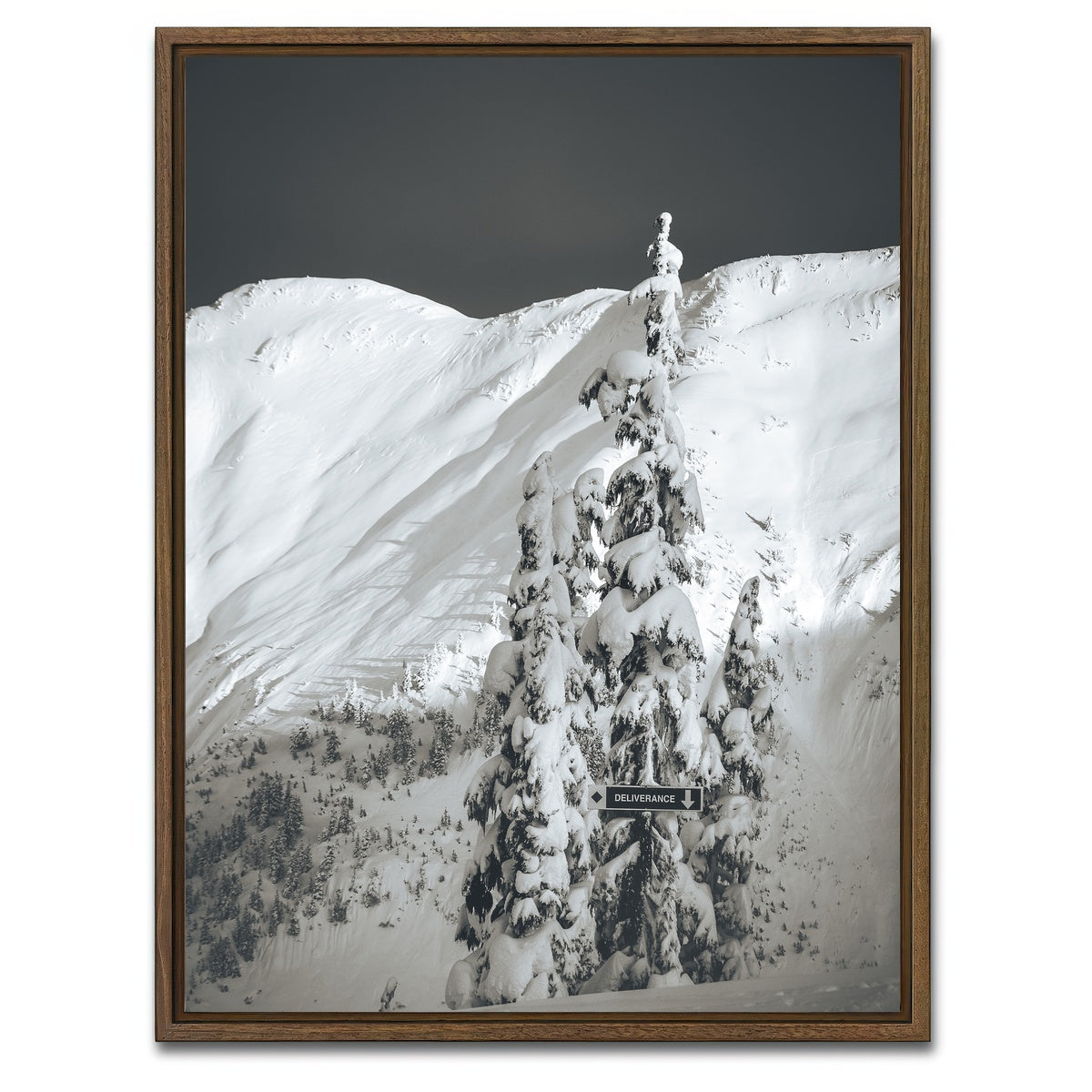 AUTO-MOCKUP WHITE | Shames Mountain 3 | 1 Piece | Walnut Framed Canvas | group=3x4