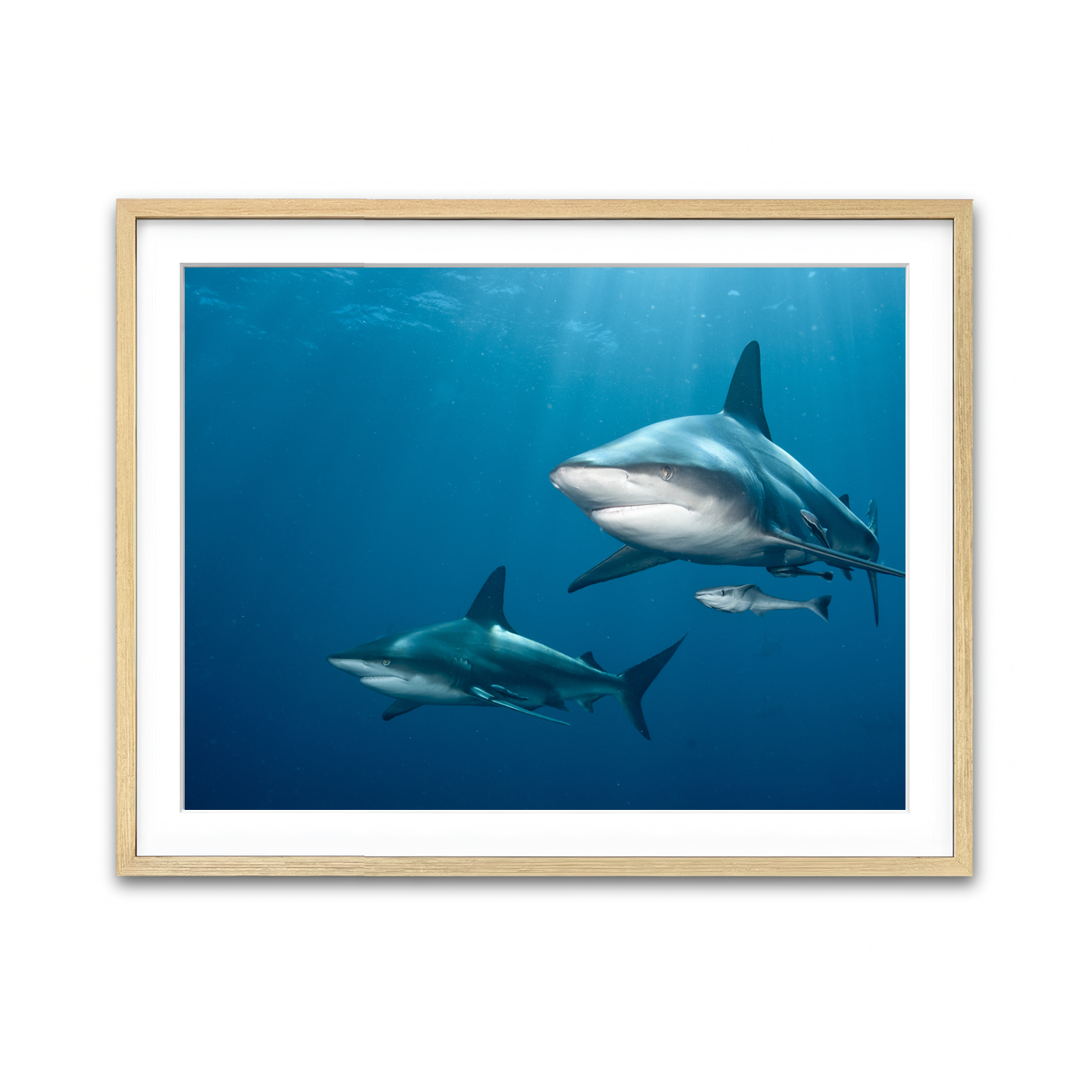 Framed Print 4x3 Natural