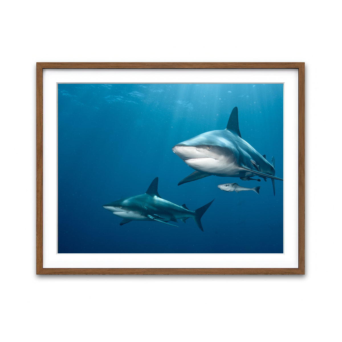 Framed Print 4x3 Walnut