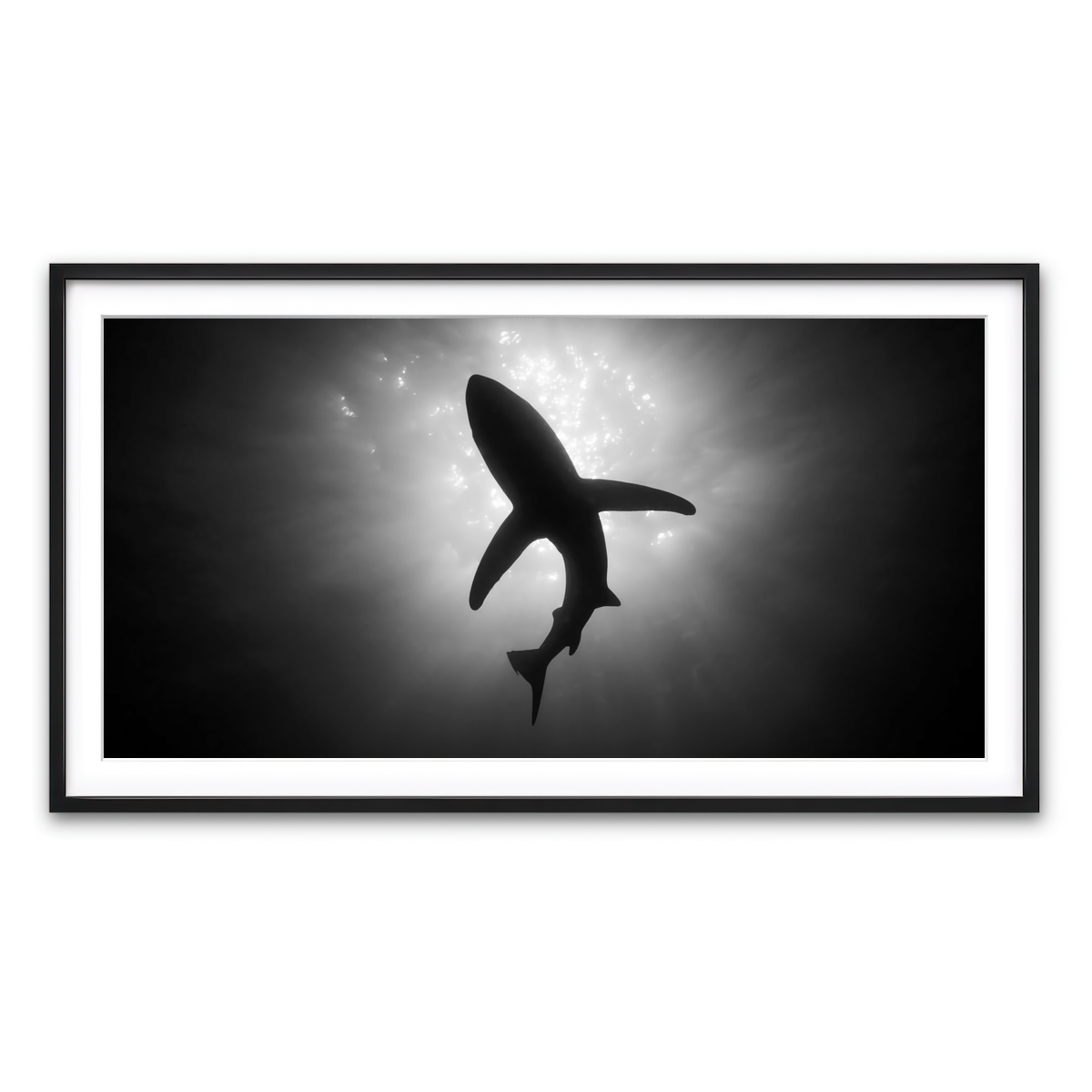 Framed Print 2x1 Black