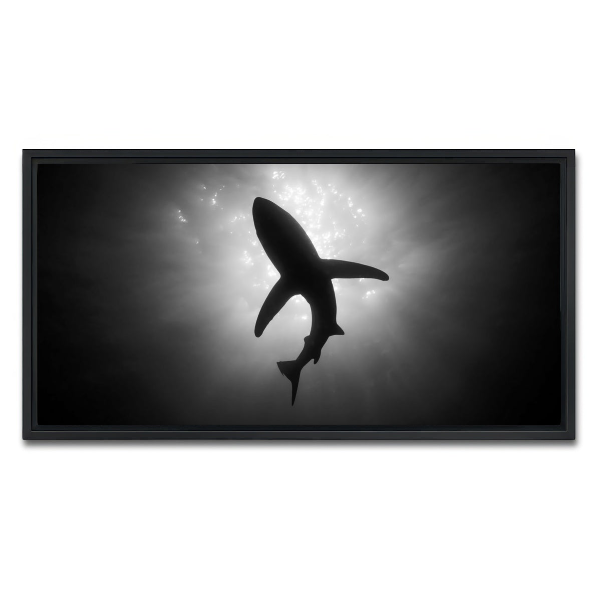 AUTO-MOCKUP WHITE | Shark Silhouette | 1 Piece | Black Framed Canvas | group=2x1
