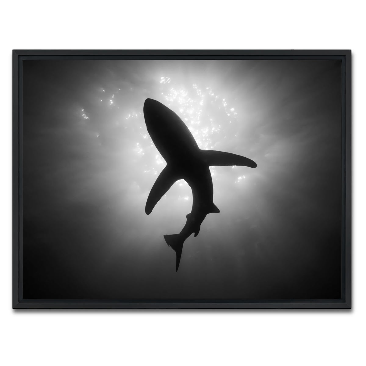 AUTO-MOCKUP WHITE | Shark Silhouette | 1 Piece | Black Framed Canvas | group=4x3