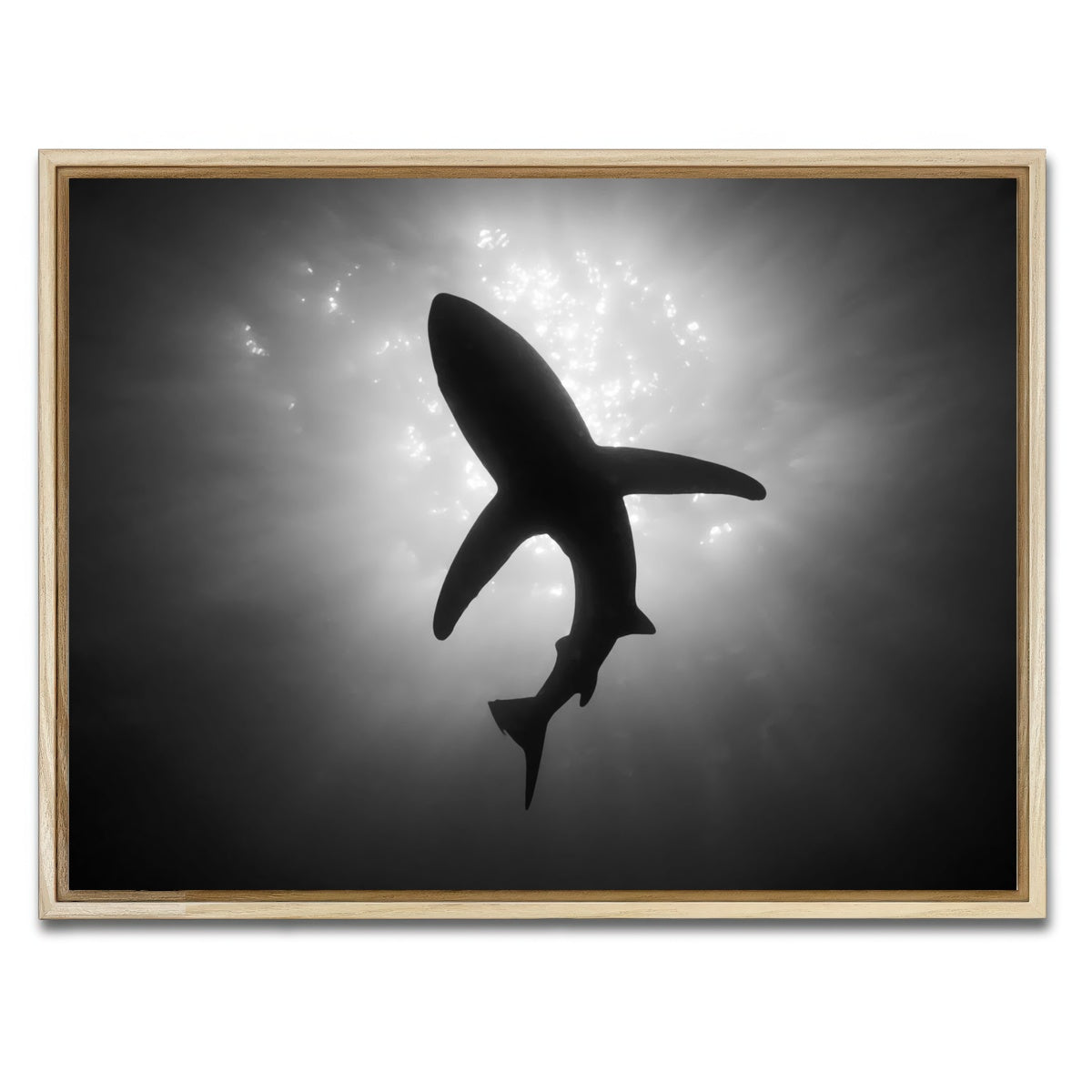 AUTO-MOCKUP WHITE | Shark Silhouette | 1 Piece | Natural Framed Canvas | group=4x3