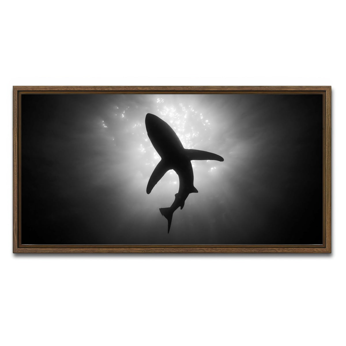 AUTO-MOCKUP WHITE | Shark Silhouette | 1 Piece | Walnut Framed Canvas | group=2x1