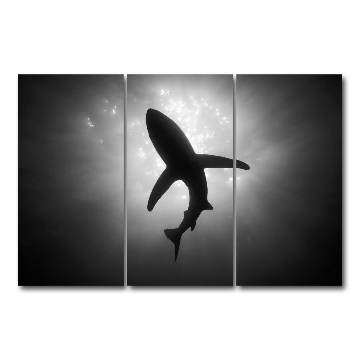 AUTO-MOCKUP WHITE | Shark Silhouette | 3 Piece | Gallery Wrap Canvas | group=12x24