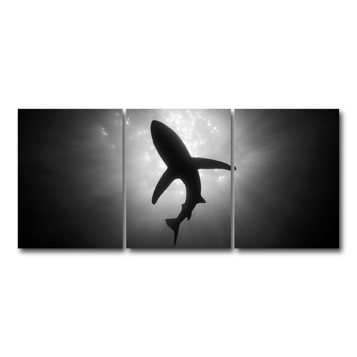 AUTO-MOCKUP WHITE | Shark Silhouette | 3 Piece | Gallery Wrap Canvas | group=18x24