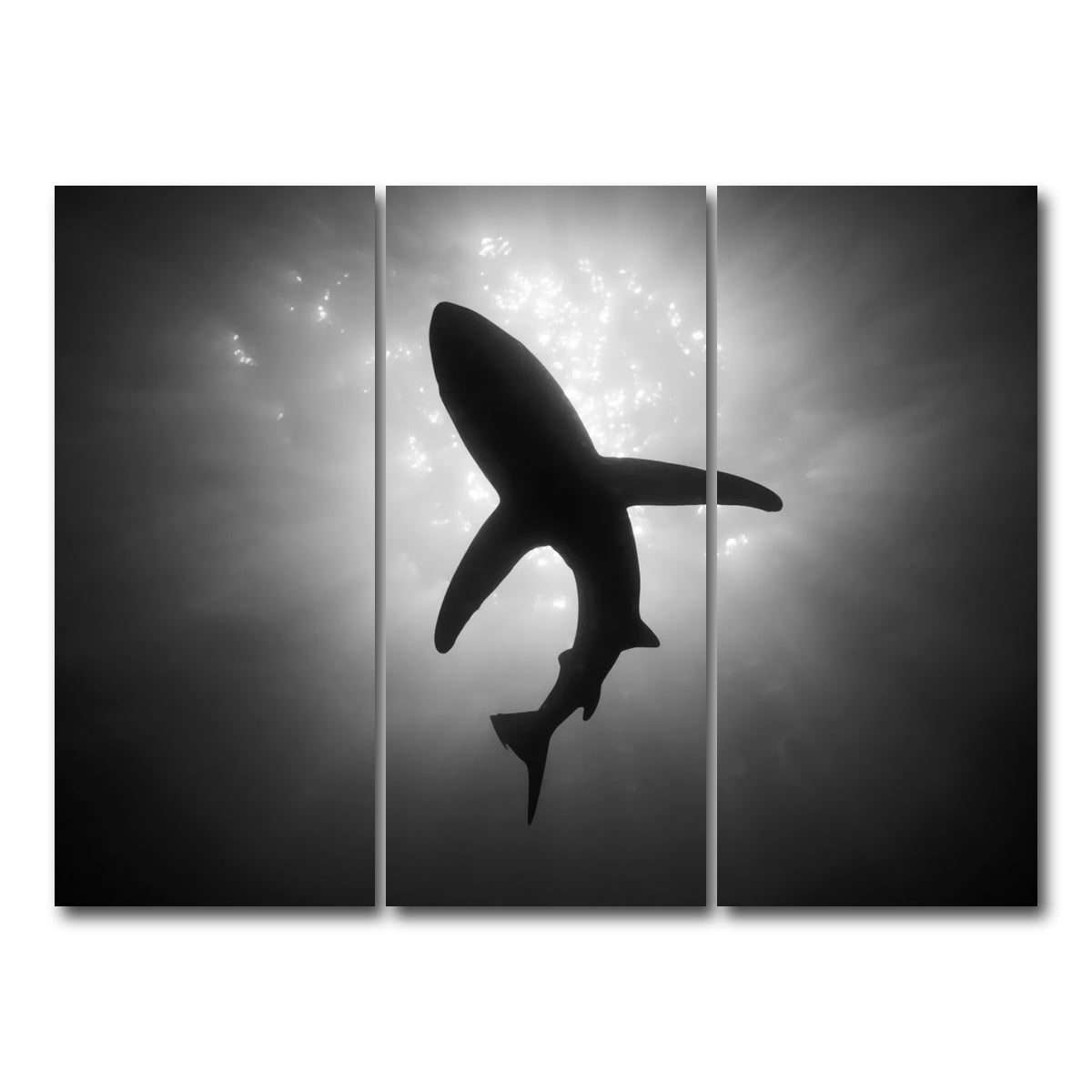 AUTO-MOCKUP WHITE | Shark Silhouette | 3 Piece | Gallery Wrap Canvas | group=8x18
